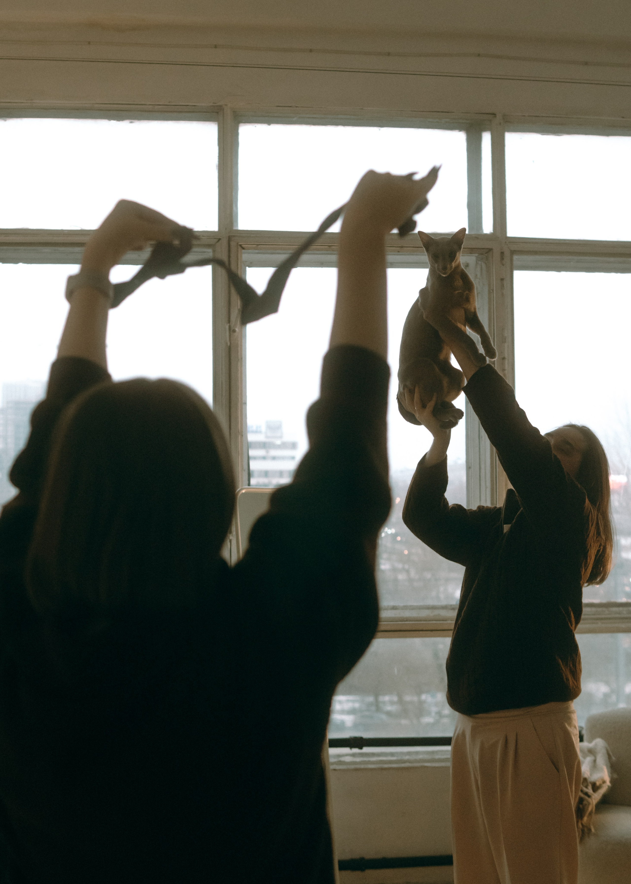 Амина, Булат и Орион. Фотограф-анималист Ксения Воробьева, Москва