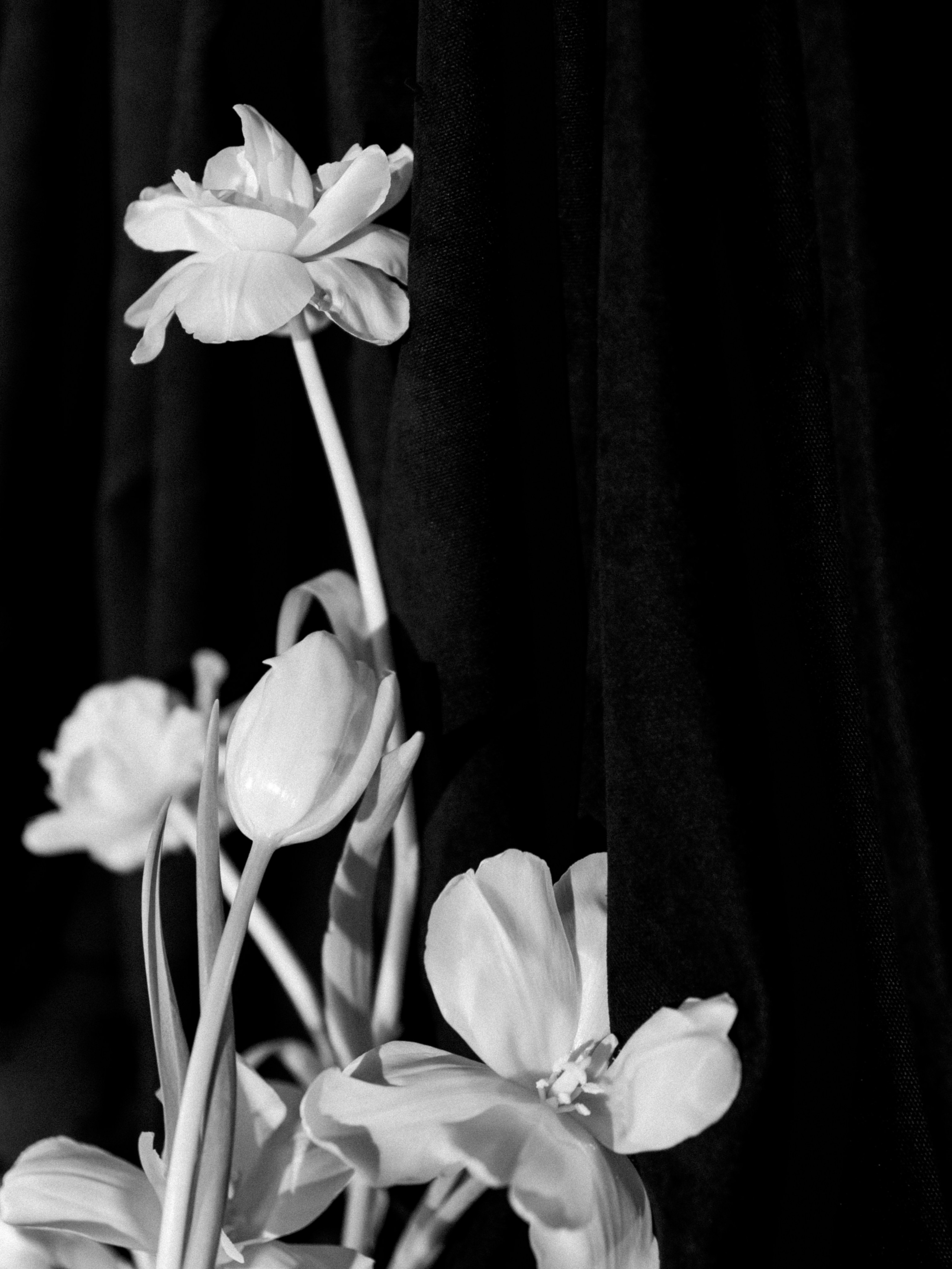 Роман и София. Фотограф Тюмень Пушковская Кристина