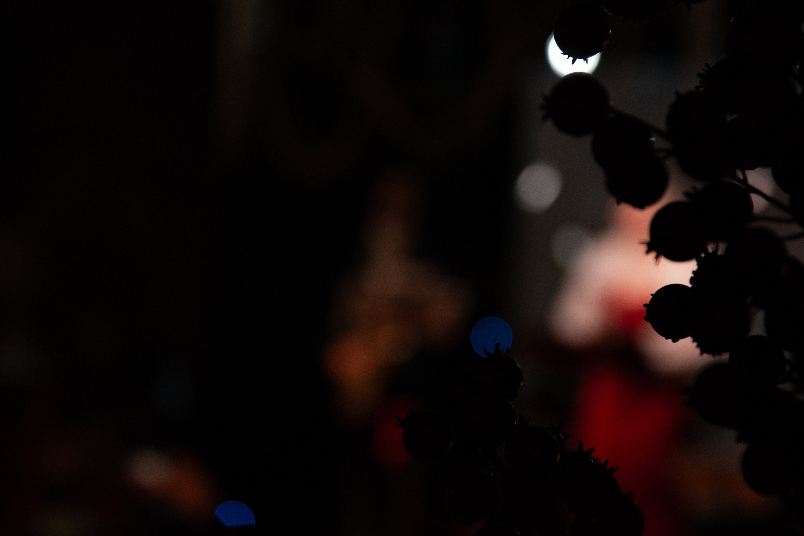 Джазовый концерт «Рождественское чудо». Фотограф в Ижевске. Репортажи, спорт, индивидуальные фотосессии