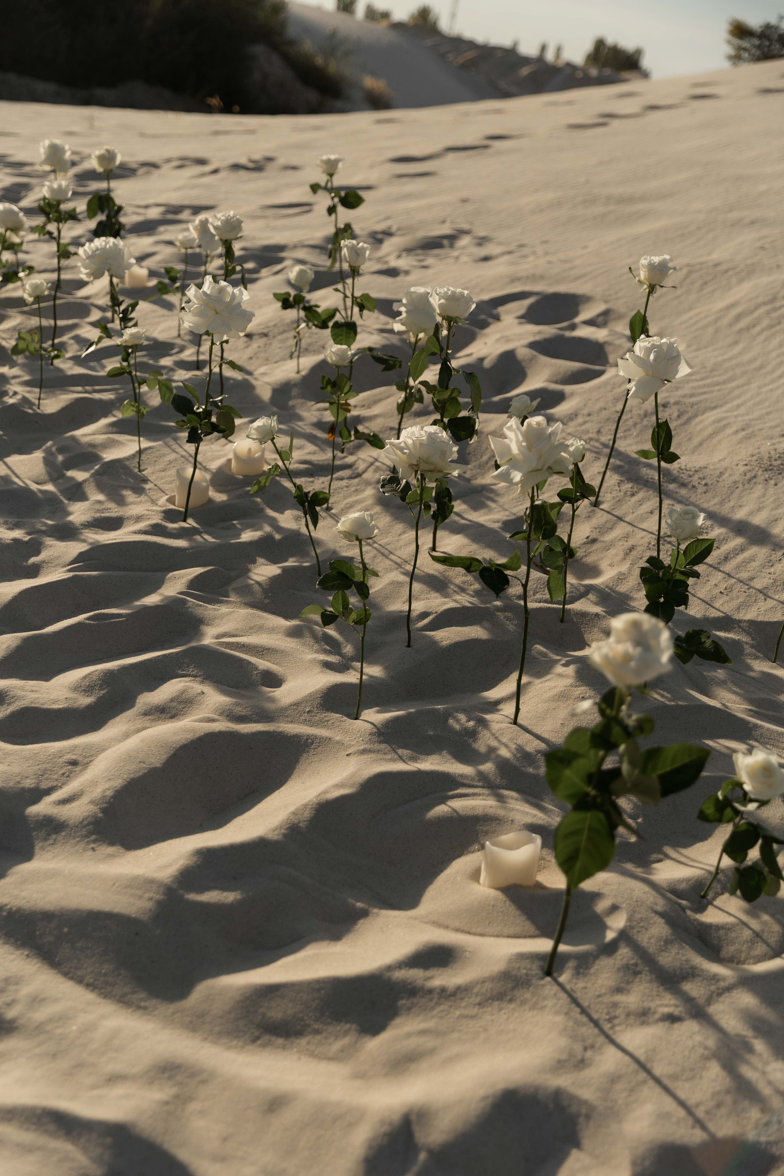 Олеся и Егор. Я Ира и я фотографирую свадьбы более 10 лет