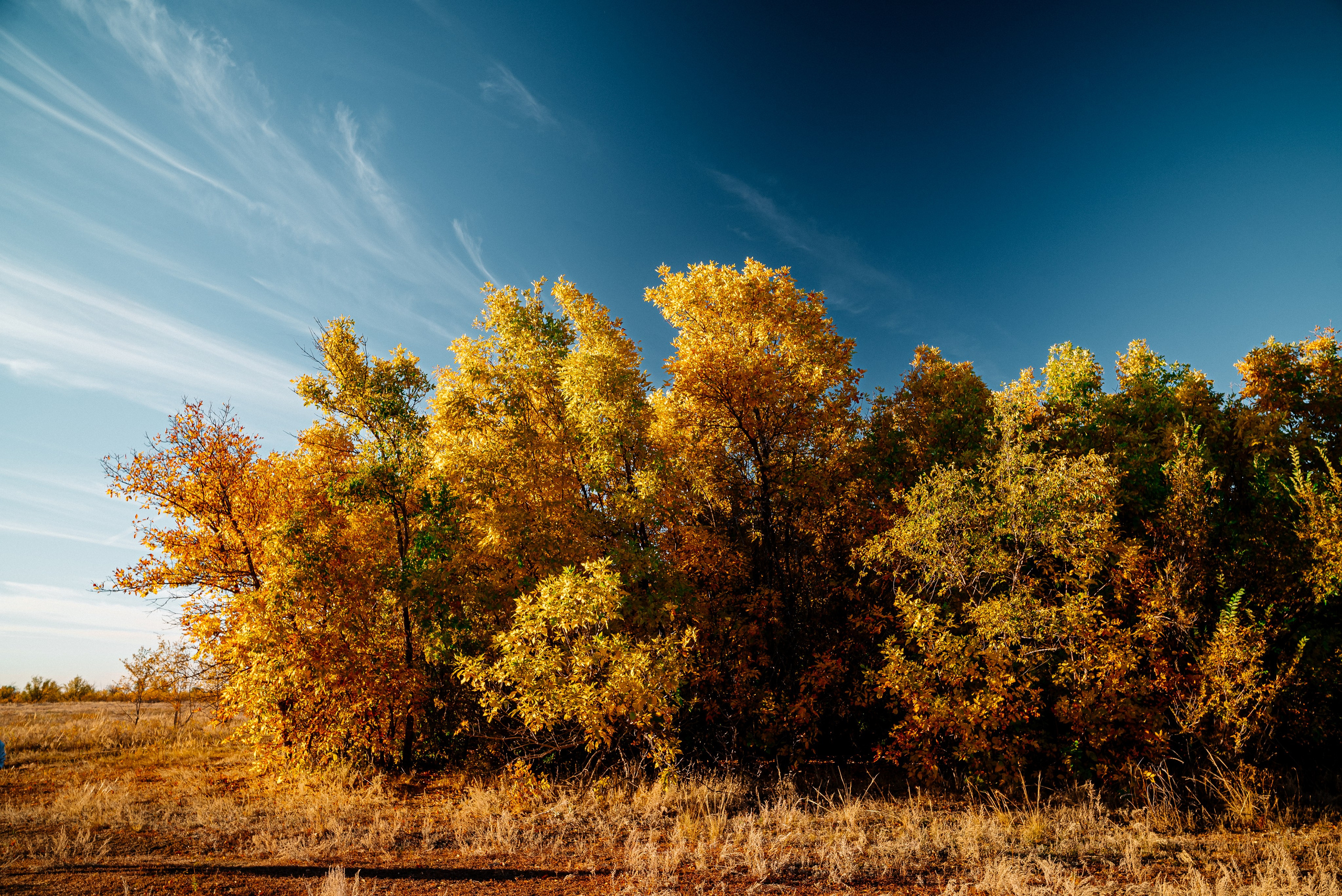 Пейзажи. Фотограф в Уральске | Трищенков Гордей