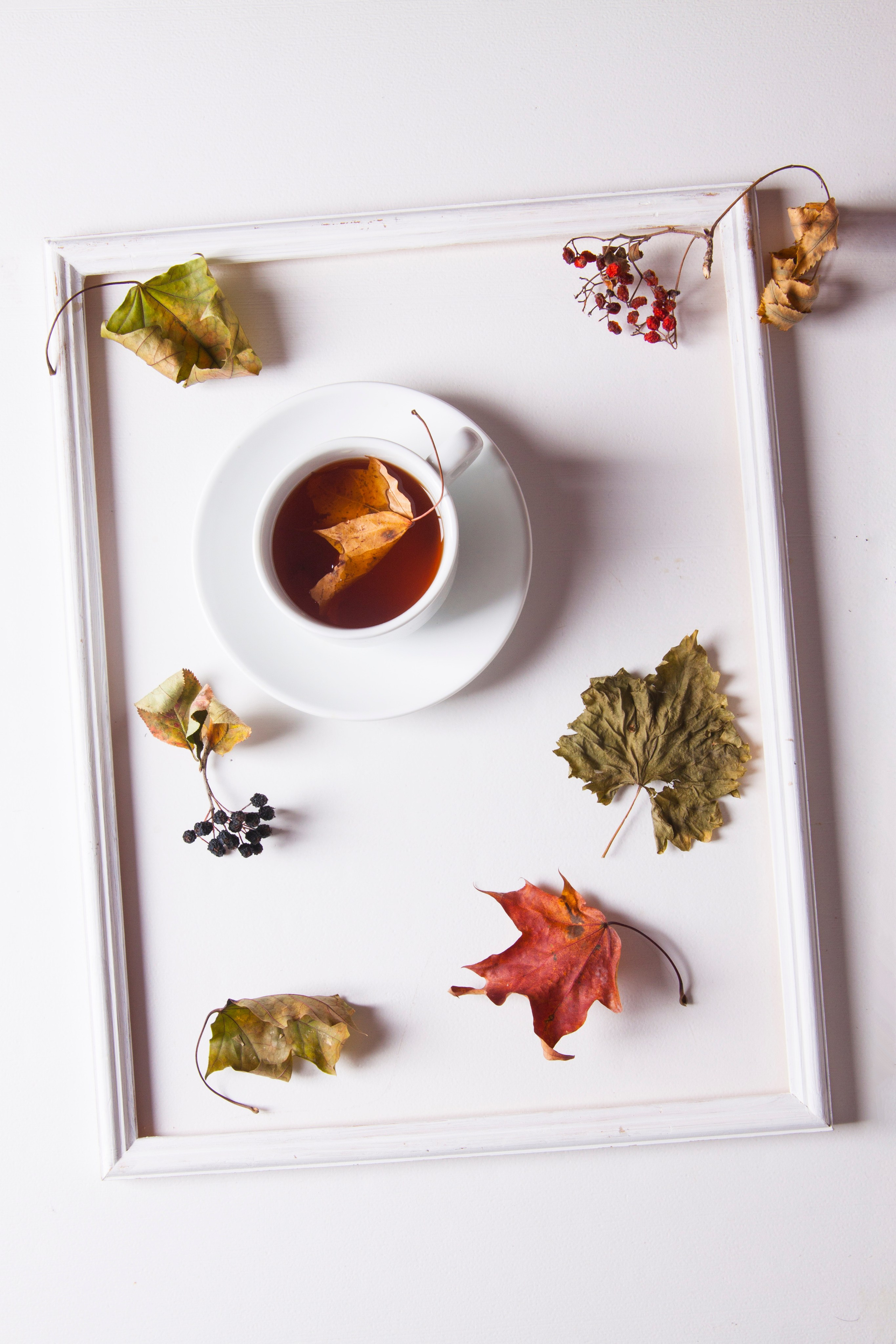 Другое. Мария Пичугина — фотограф в Петергофе — Санкт-Петербурге