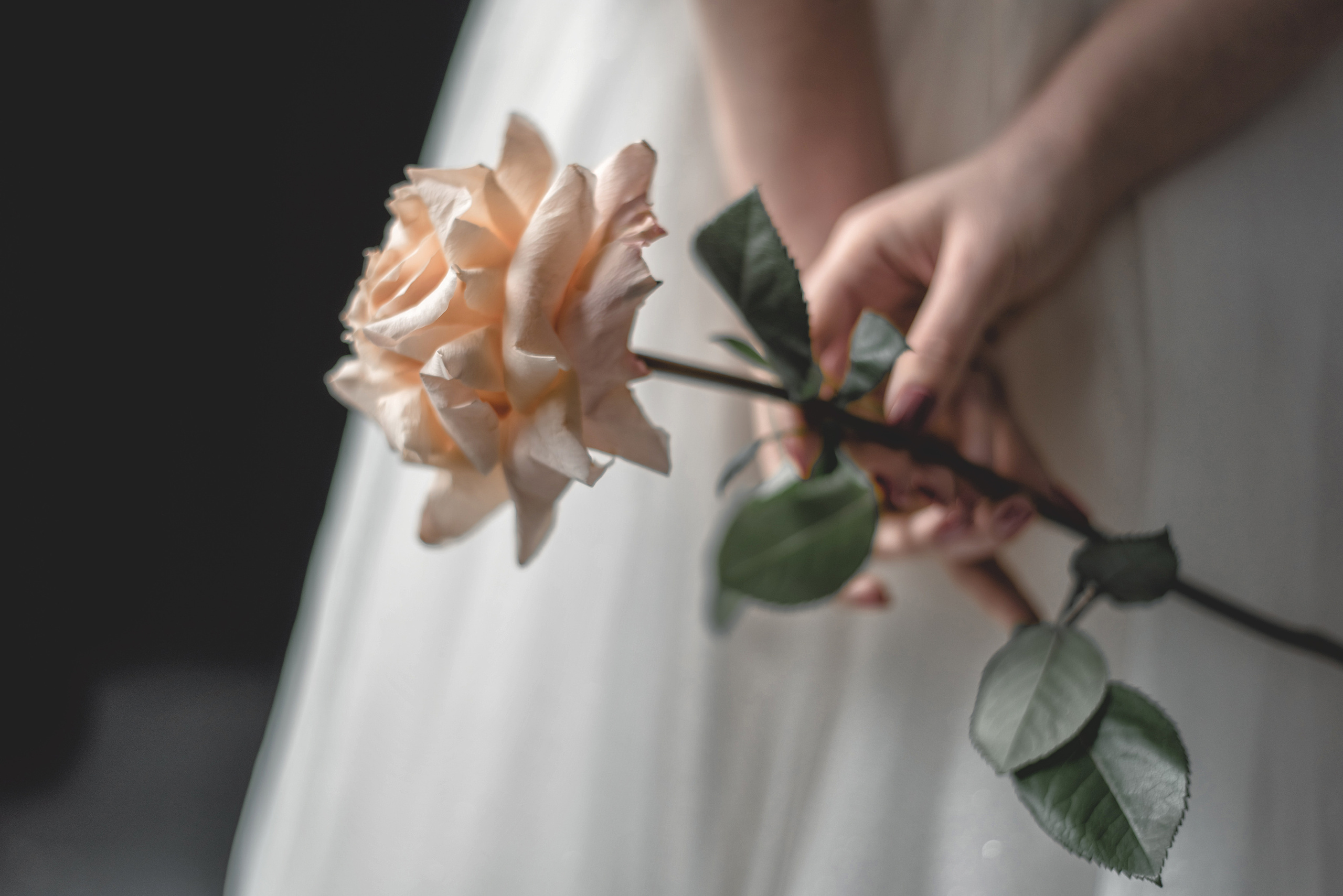 Алина. Свадебный фотограф Тюмень / Санкт — Петербург Миронова Наталия