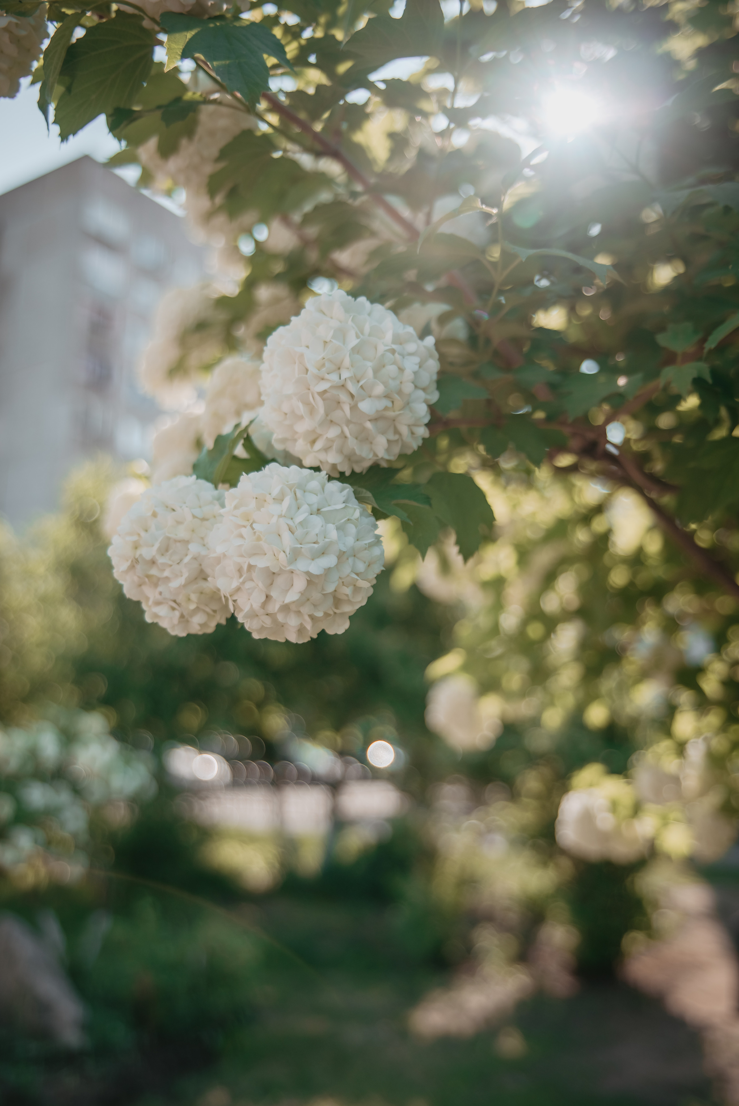 Храм в честь Николая Чудотворца. Свадебный фотограф Тюмень / Санкт — Петербург Миронова Наталия
