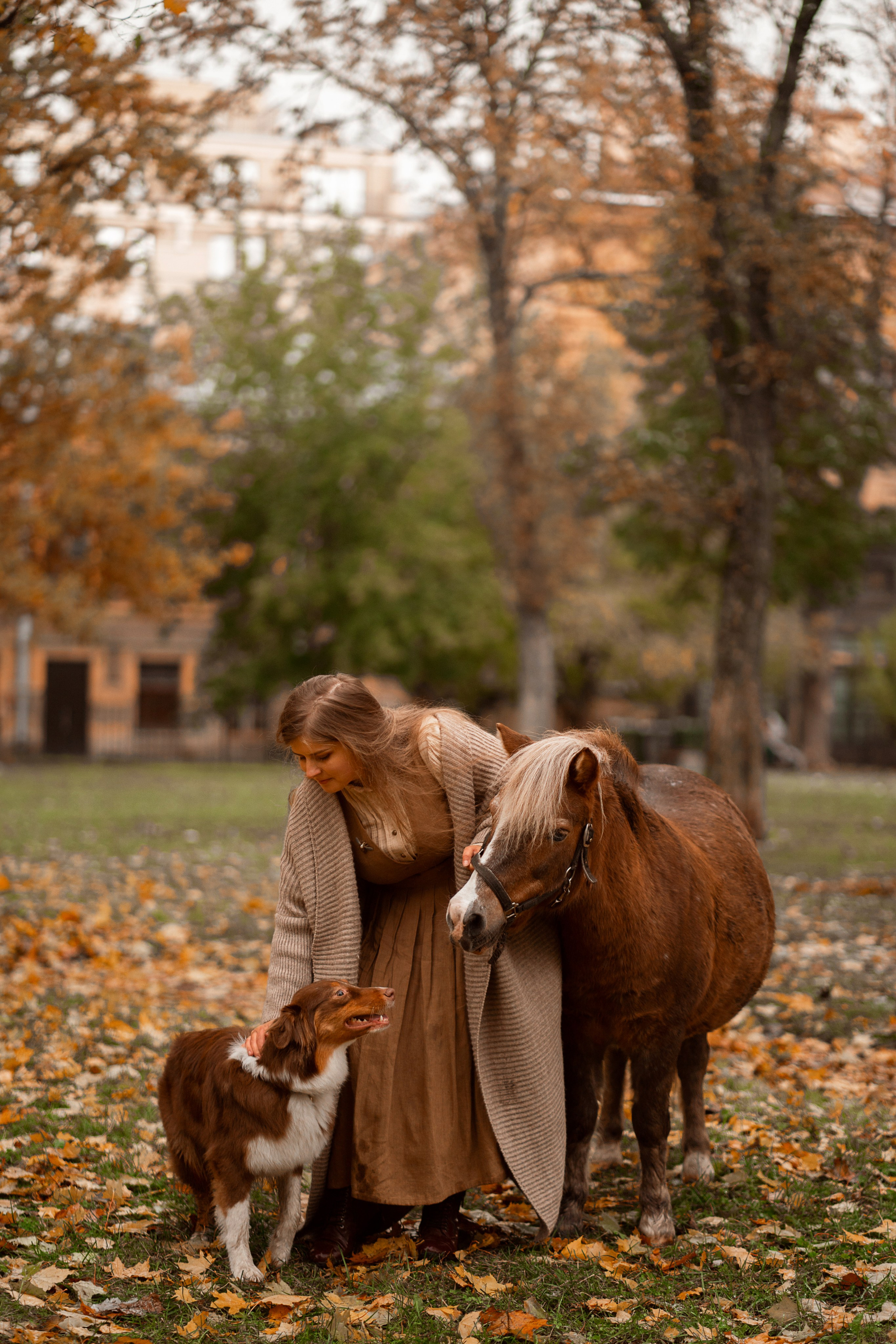 Хвостики. Главная