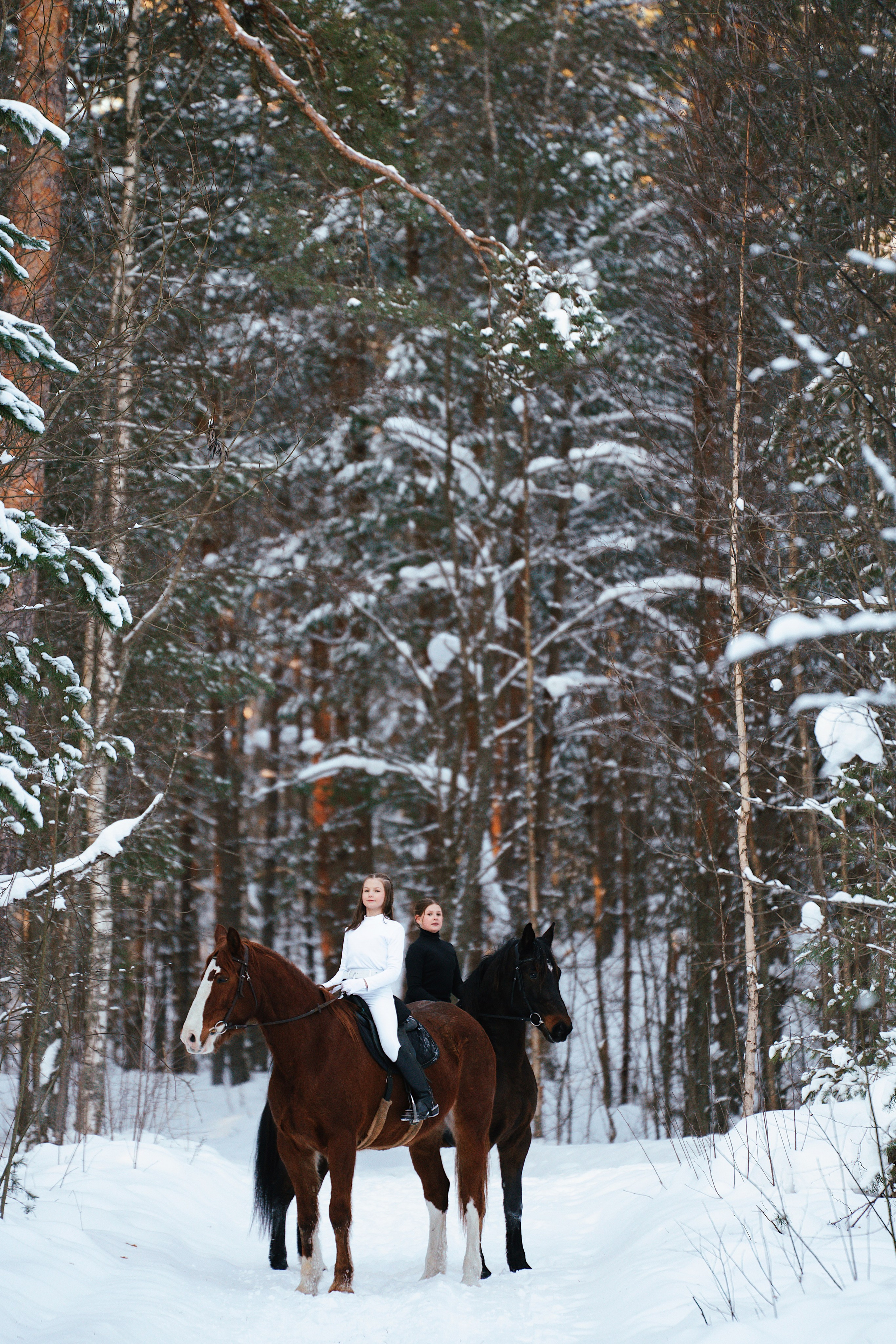 Конные. Фотограф Сибирика (Ирина Кузнецова), Санкт-Петербург и ЛО — портреты, свадьбы и семейные съемки. Творческий подход и качественные фото