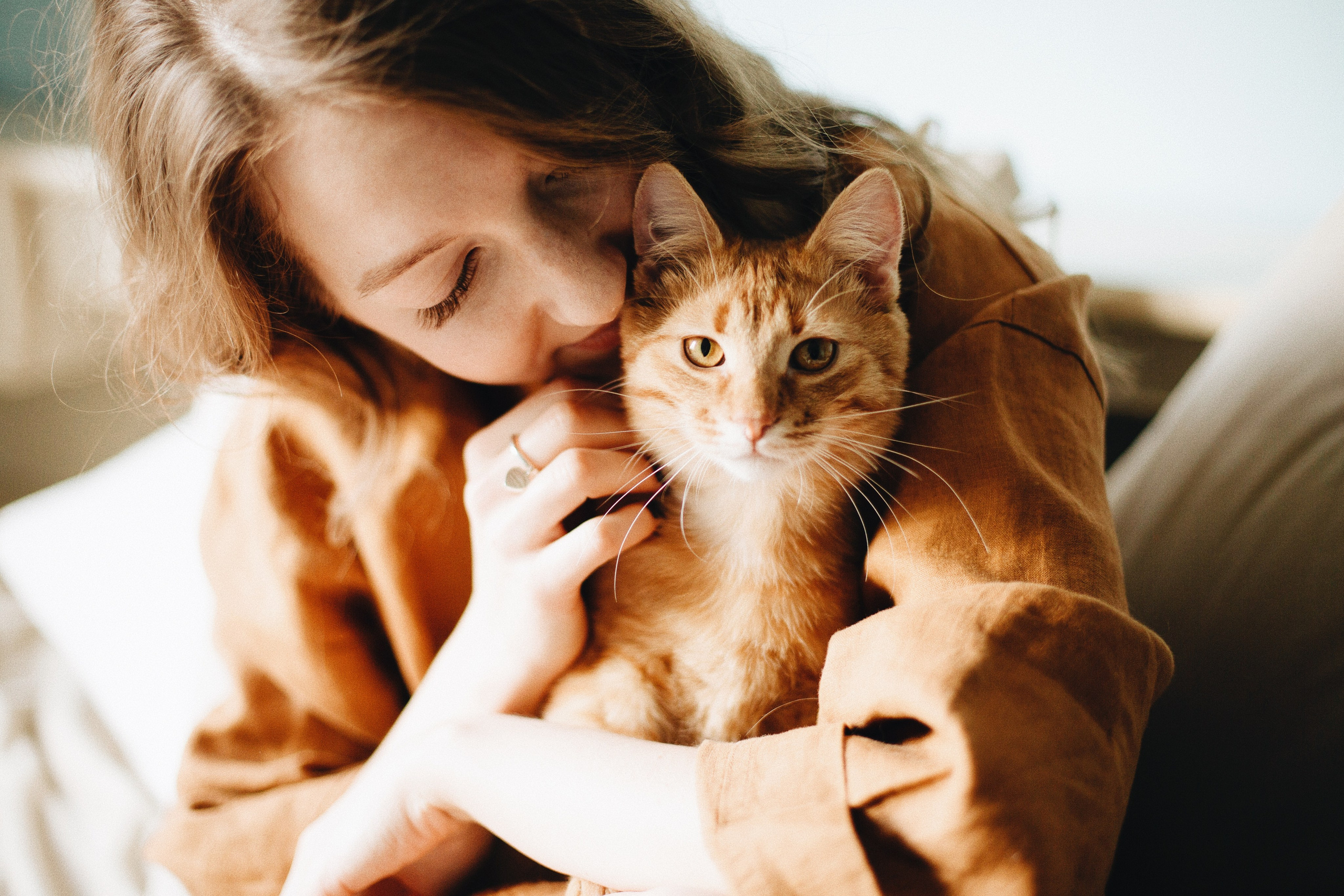 Катя, Булочка и Пирожок дома. Фотограф анималист Кристина Карпова, Москва