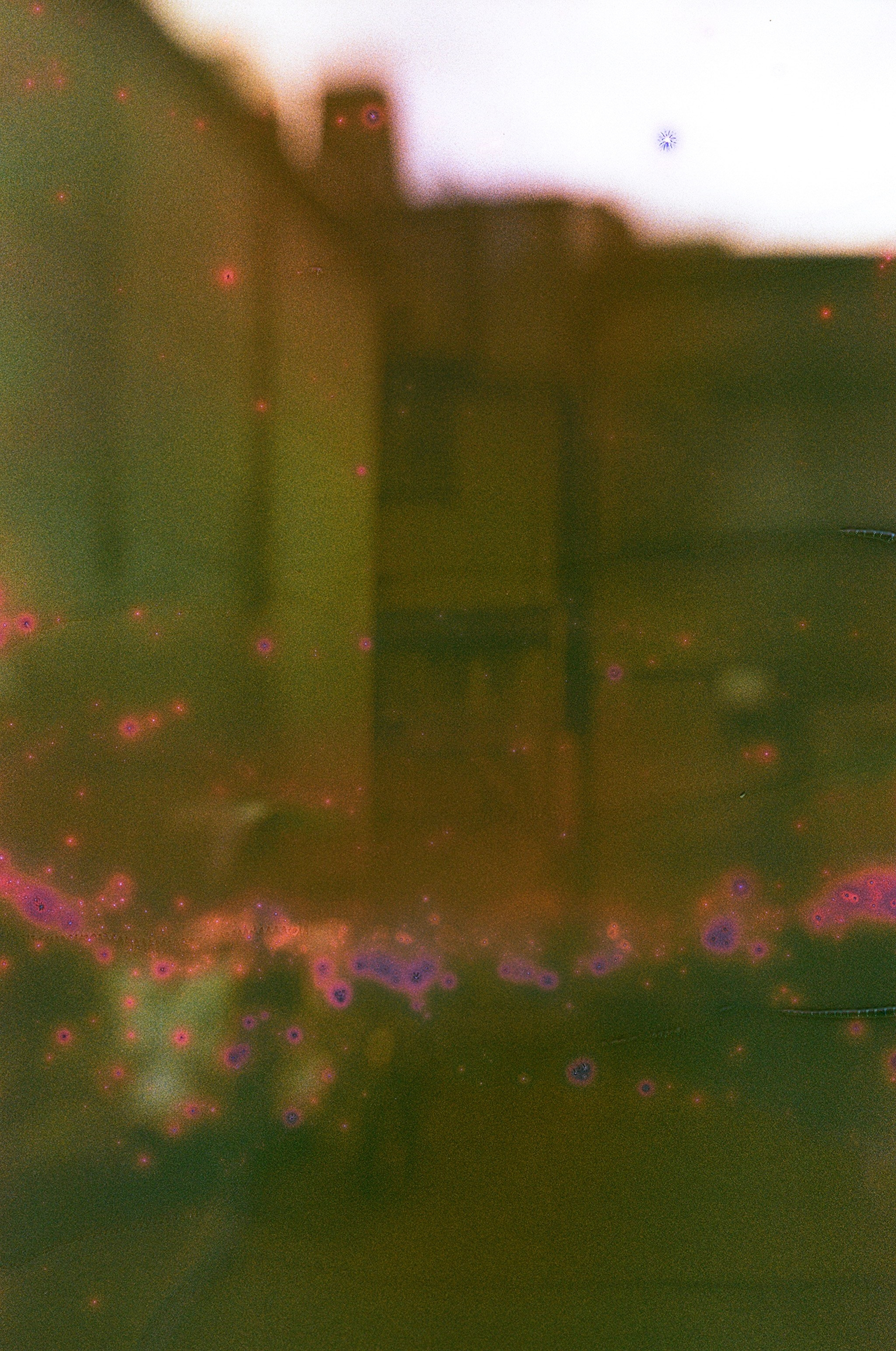 JAPAN FILM. International visual artist