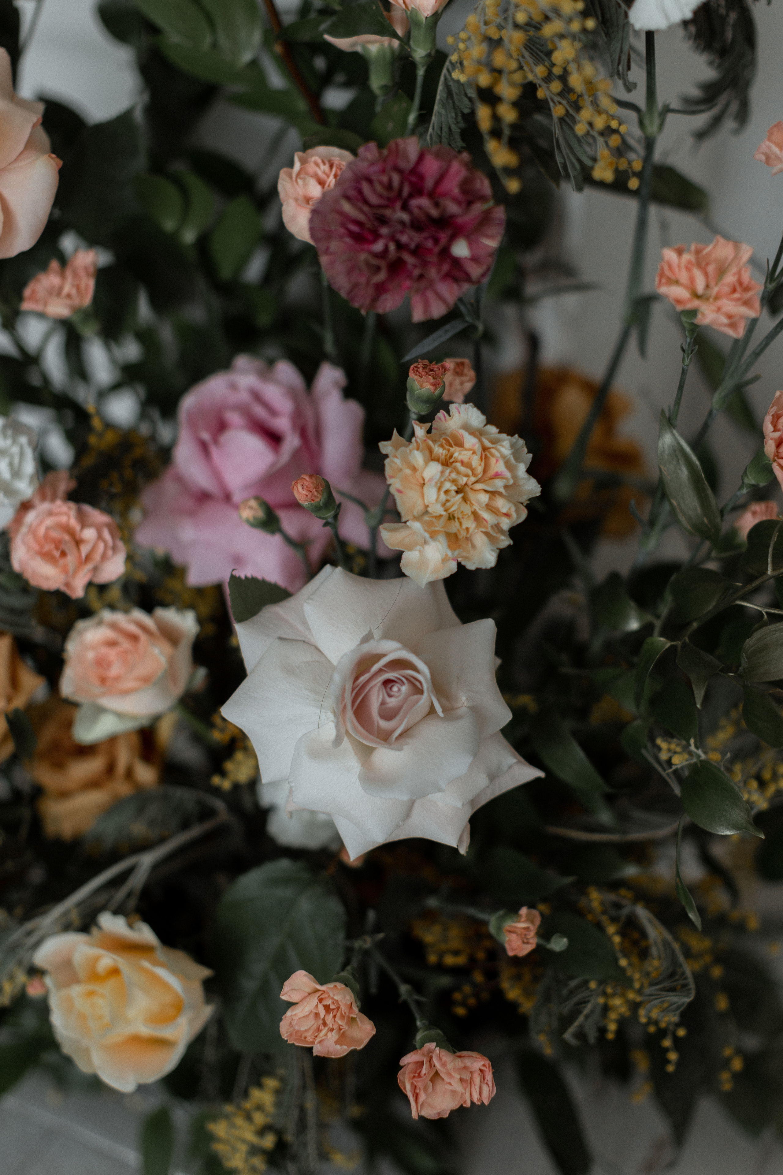 Алина | Влад