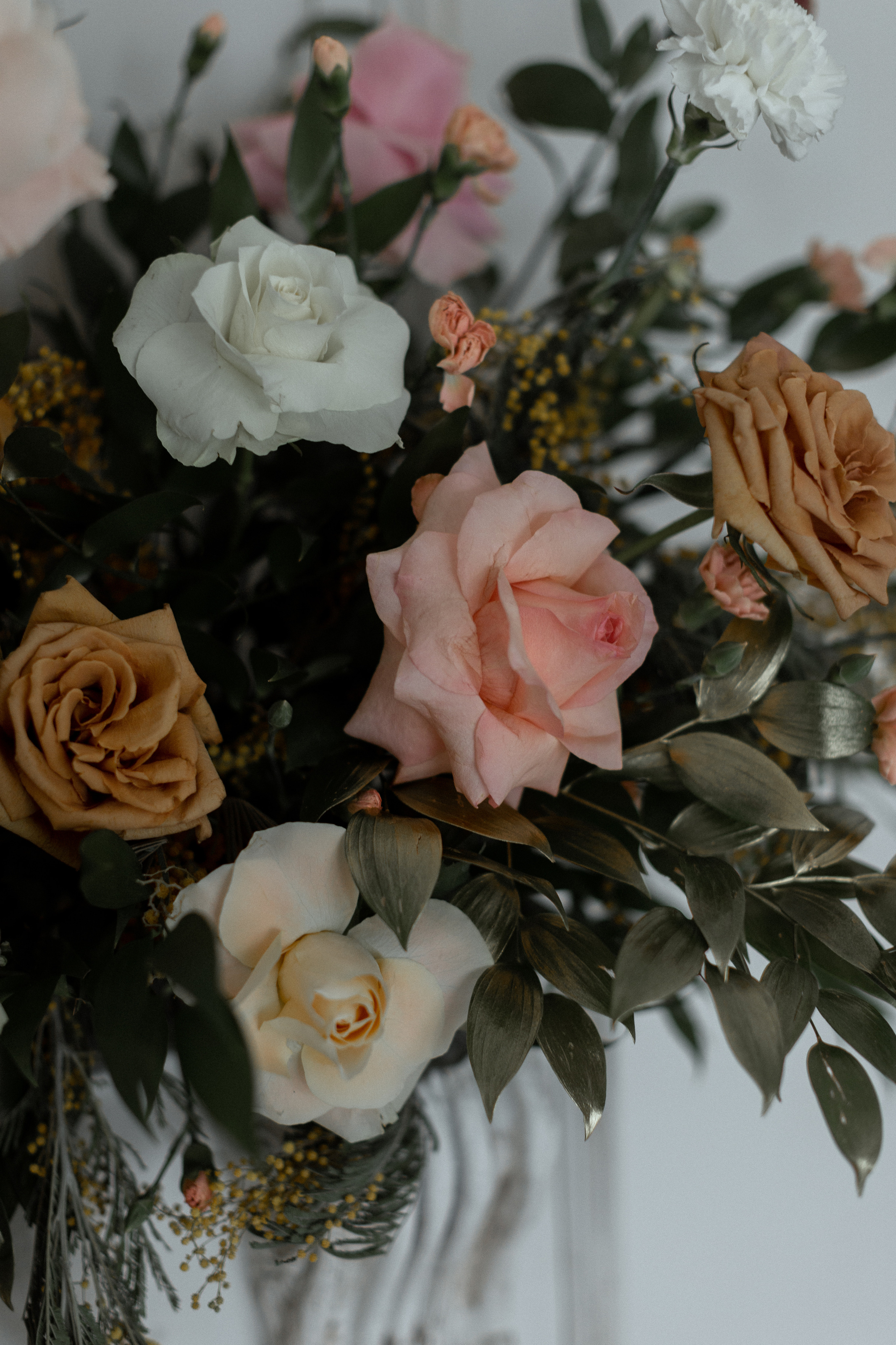 Алина | Влад