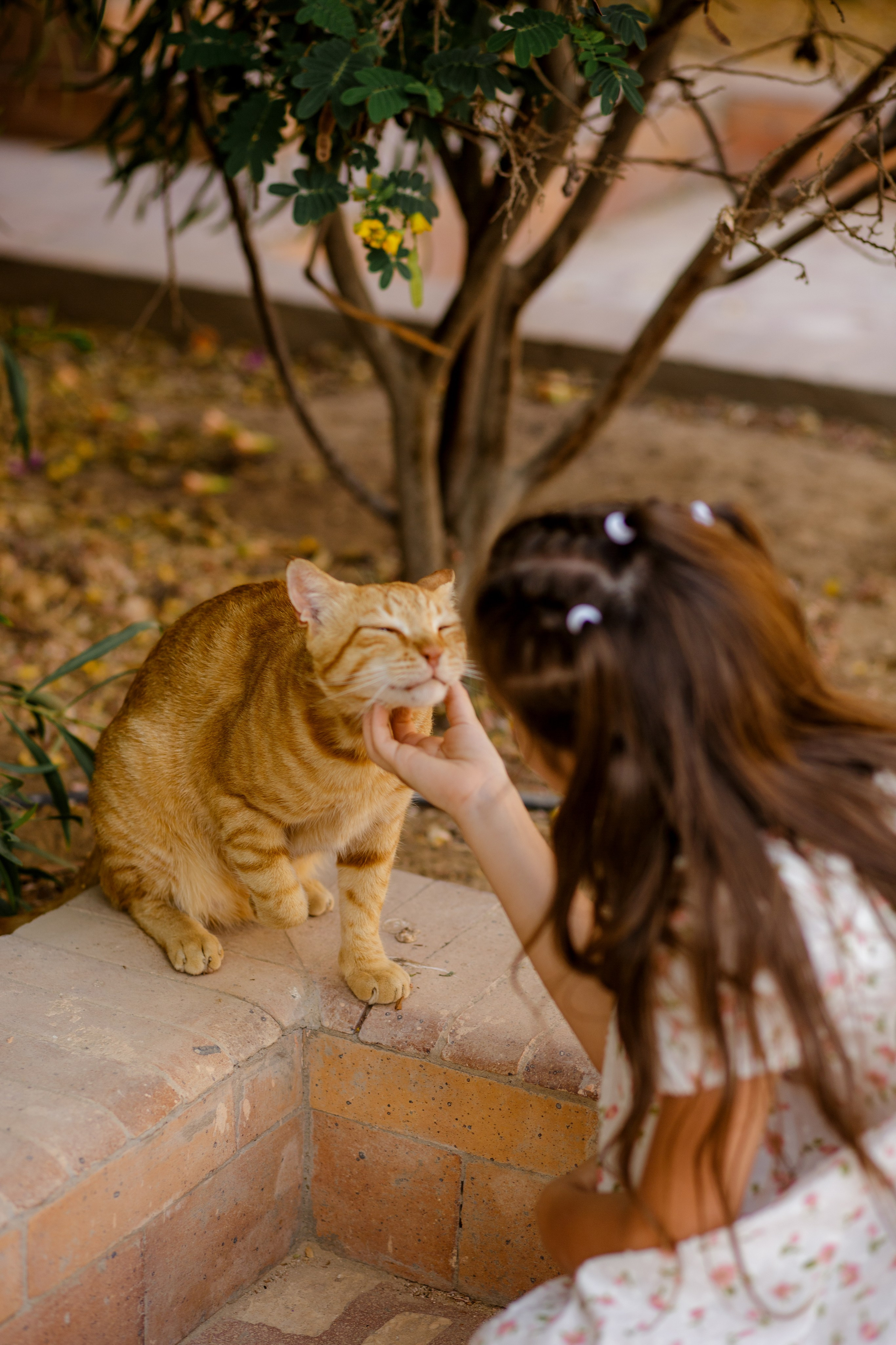 Эль Гуна. Фотограф Хургада / Египет Натали Шувалова