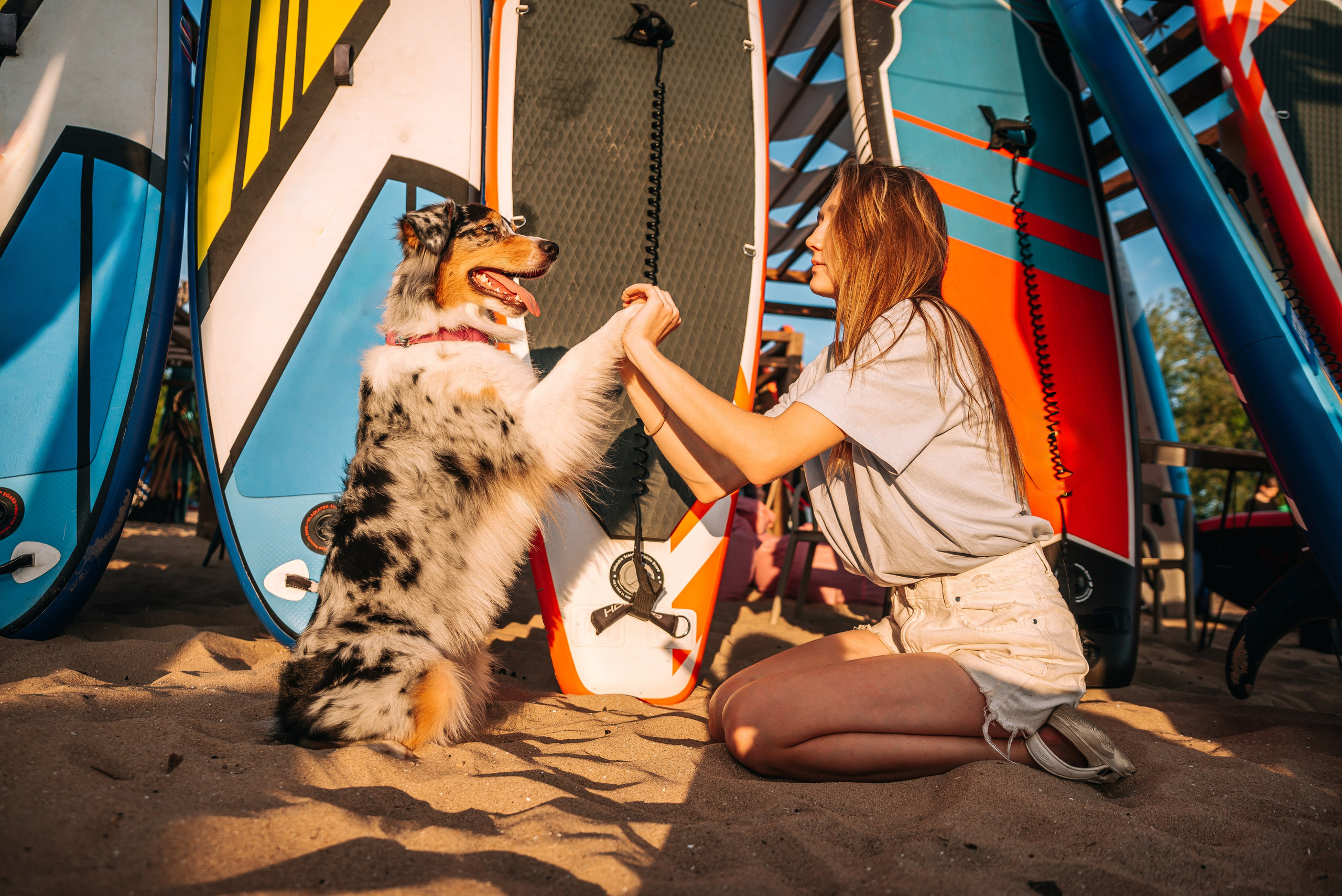 No Bad Days. Главная