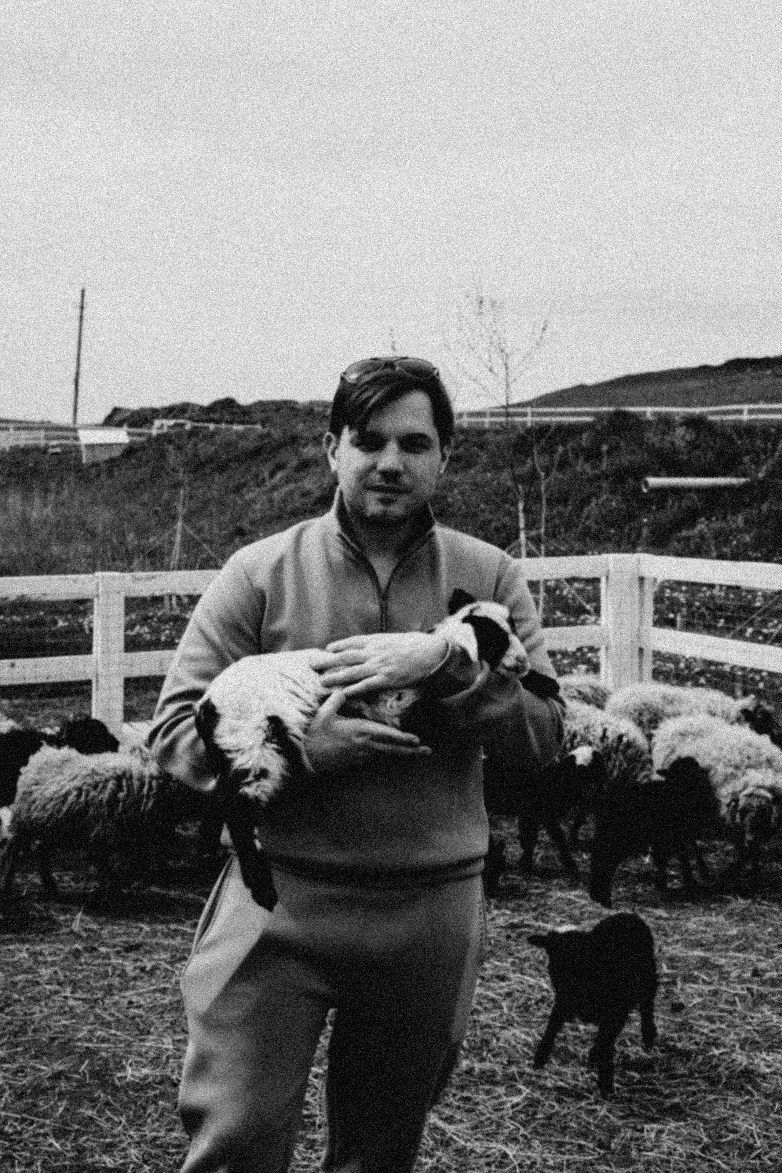 Ферма Альпак. Профессиональный фотограф, Санкт-Петербург — Виктория Богомолова