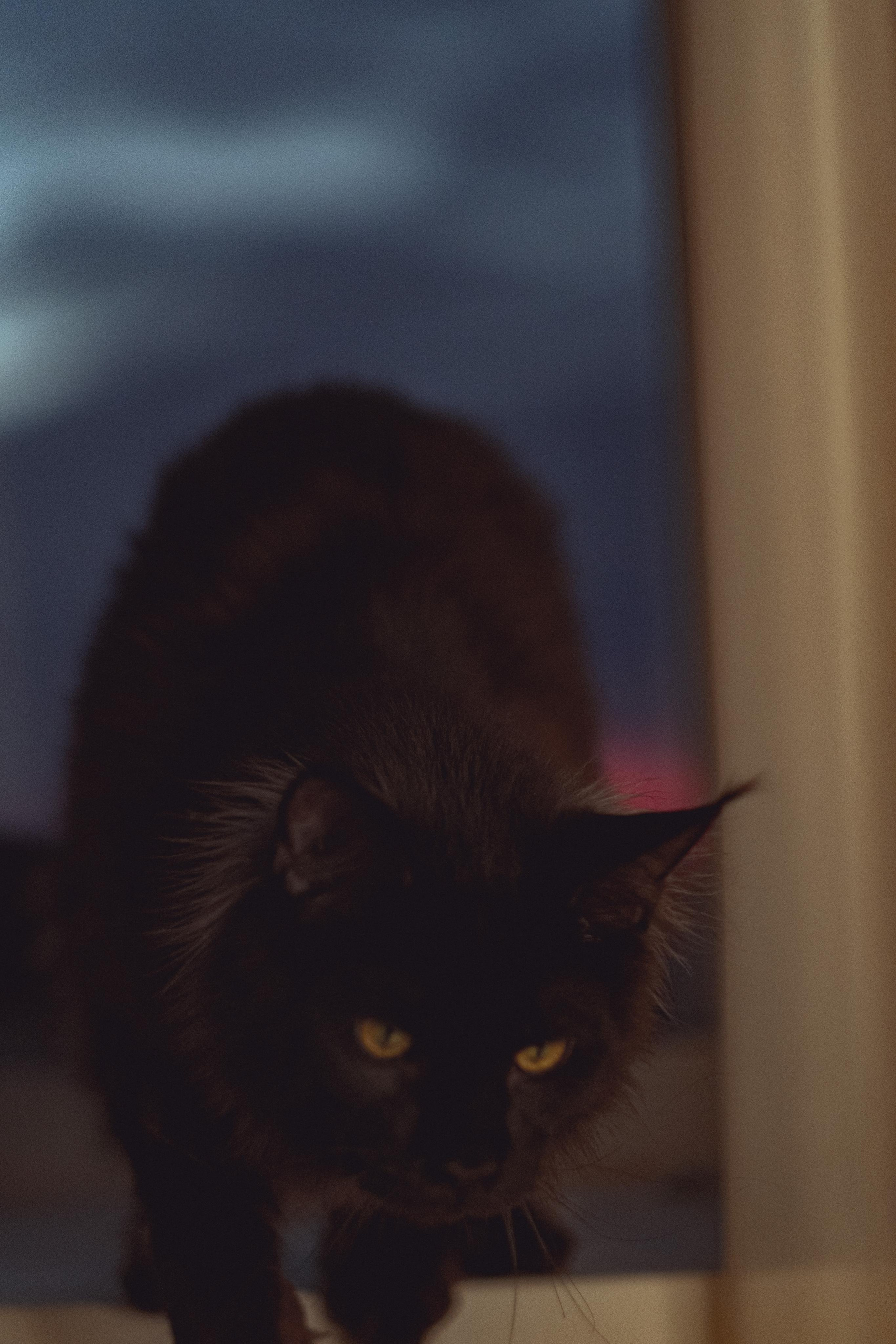 Inspiration. ILONA MNATSAKANIAN Фотограф-Визажист Москва