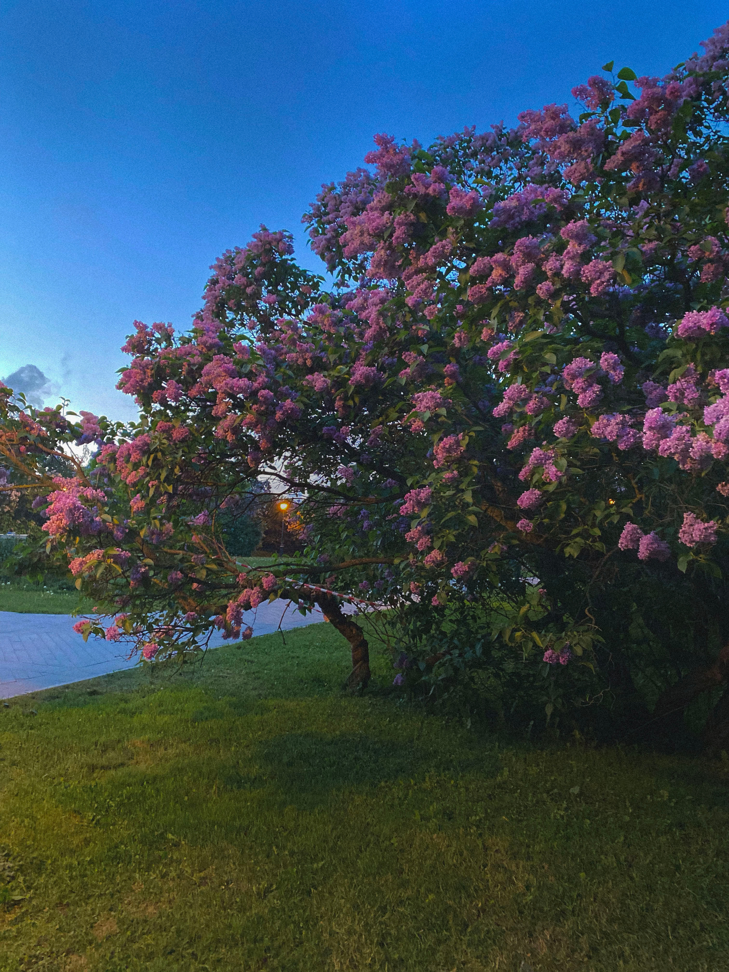 Inspiration. ILONA MNATSAKANIAN Фотограф-Визажист Москва