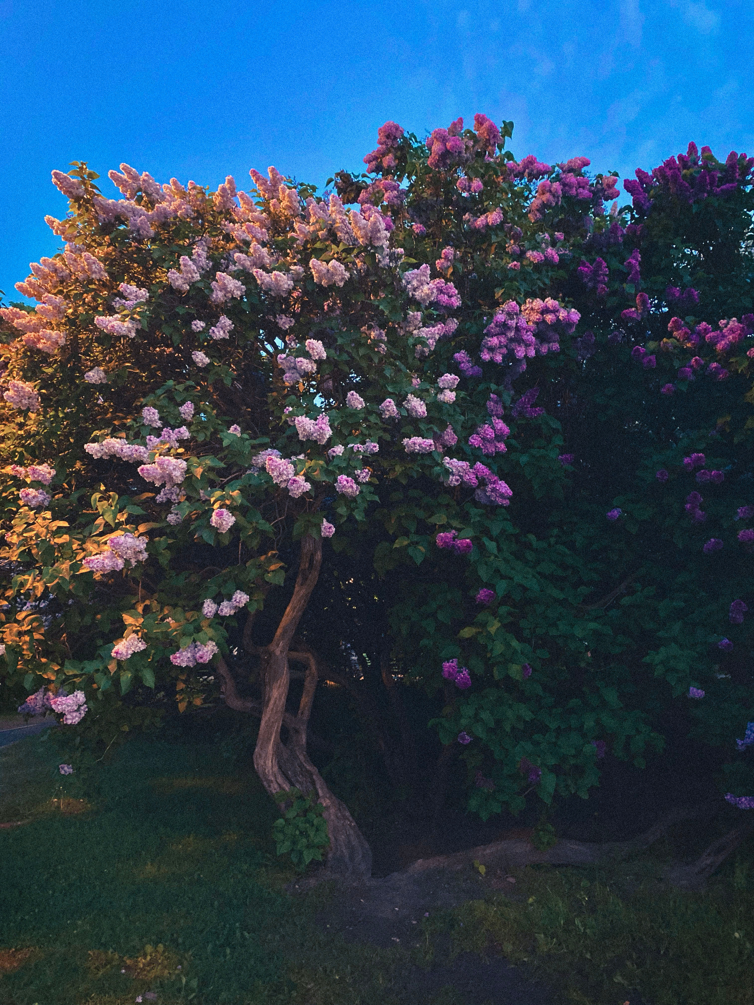 Inspiration. ILONA MNATSAKANIAN Фотограф-Визажист Москва