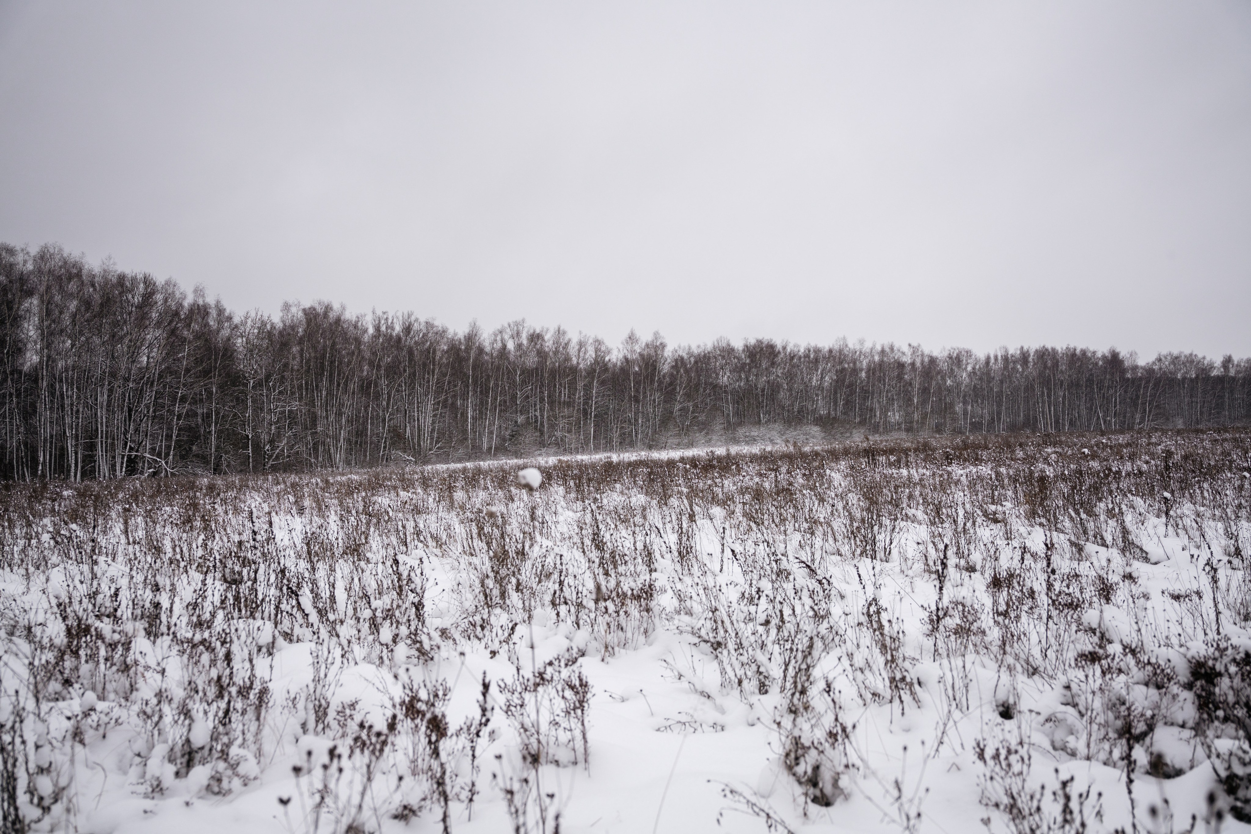 Поездка к р. Песочня и деревне Раевское. Vlad Trykov