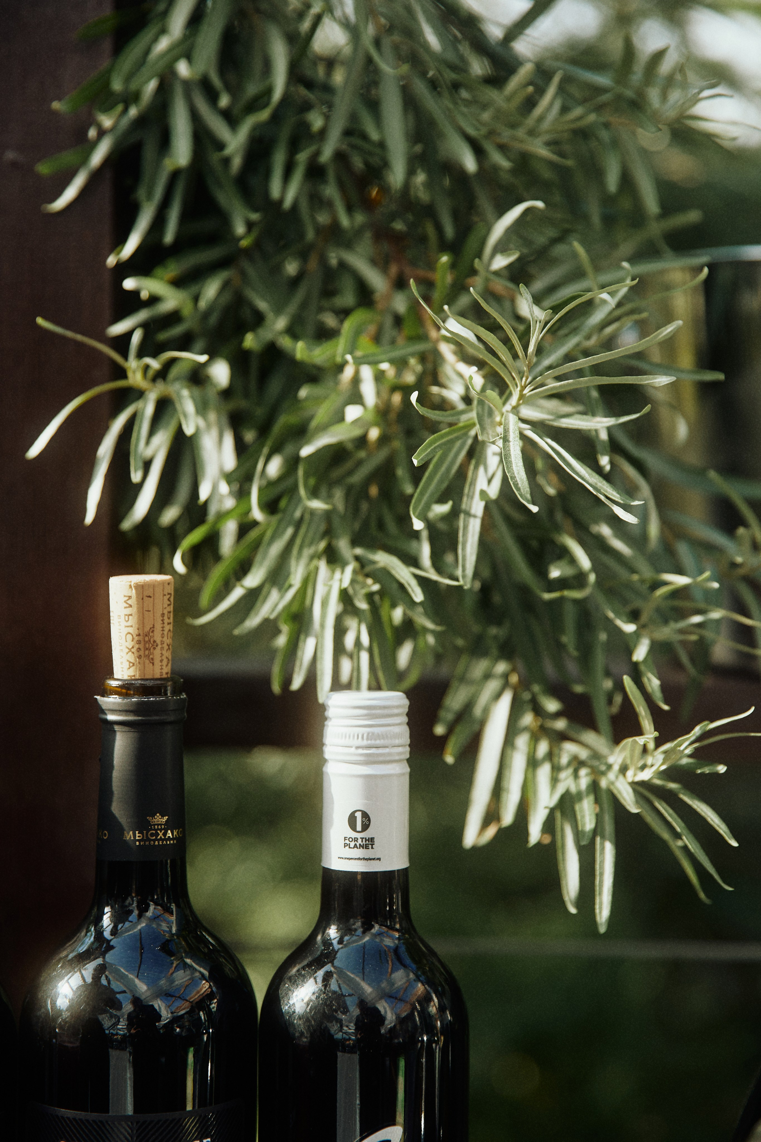 ALL IN ON LOVE. Дмитрий Мазуркевич: Профессиональный Репортажный Фотограф