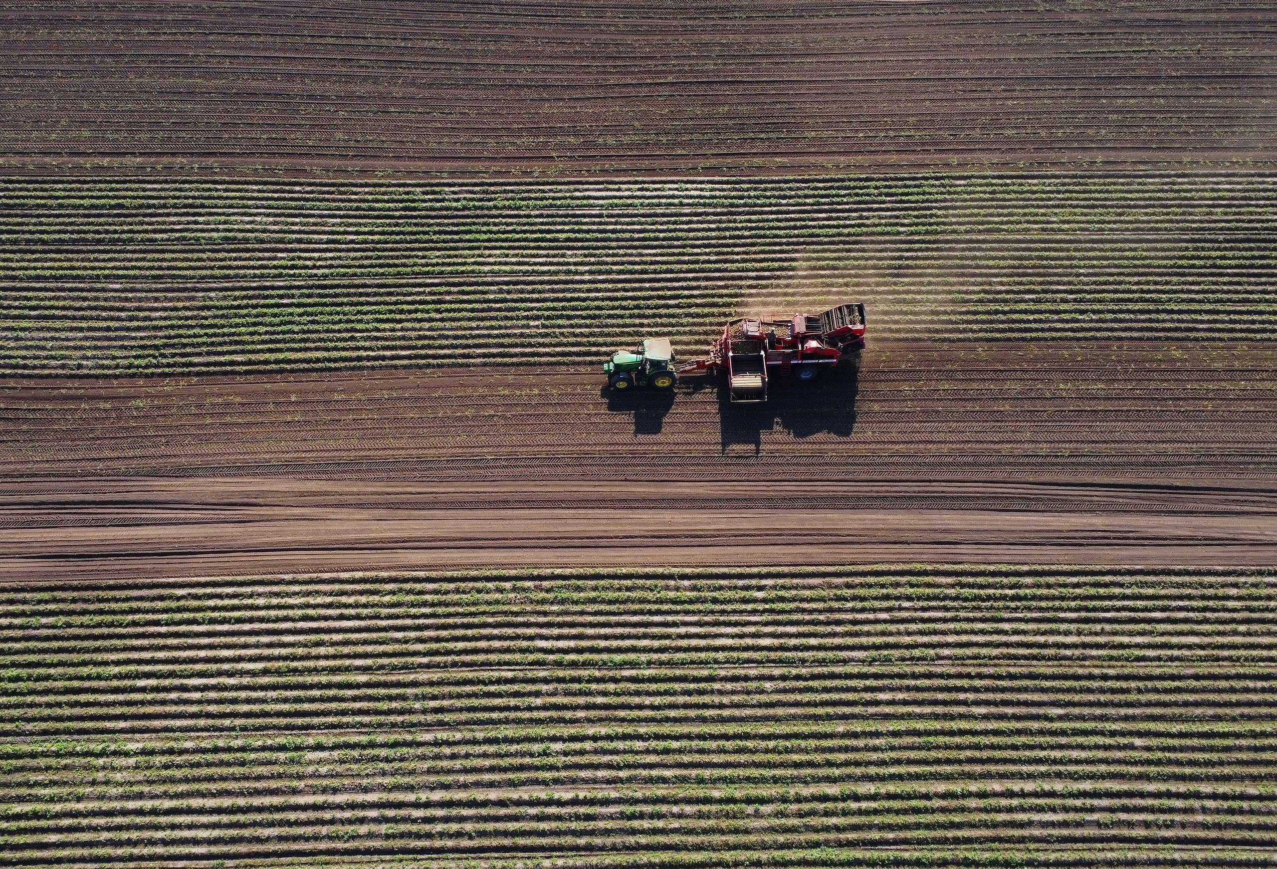 ДОКУМЕНТАЛЬНАЯ \ ФОТОЖУРНАЛИСТИКА. Документальный и коммерческий фотограф Влад Некрасов