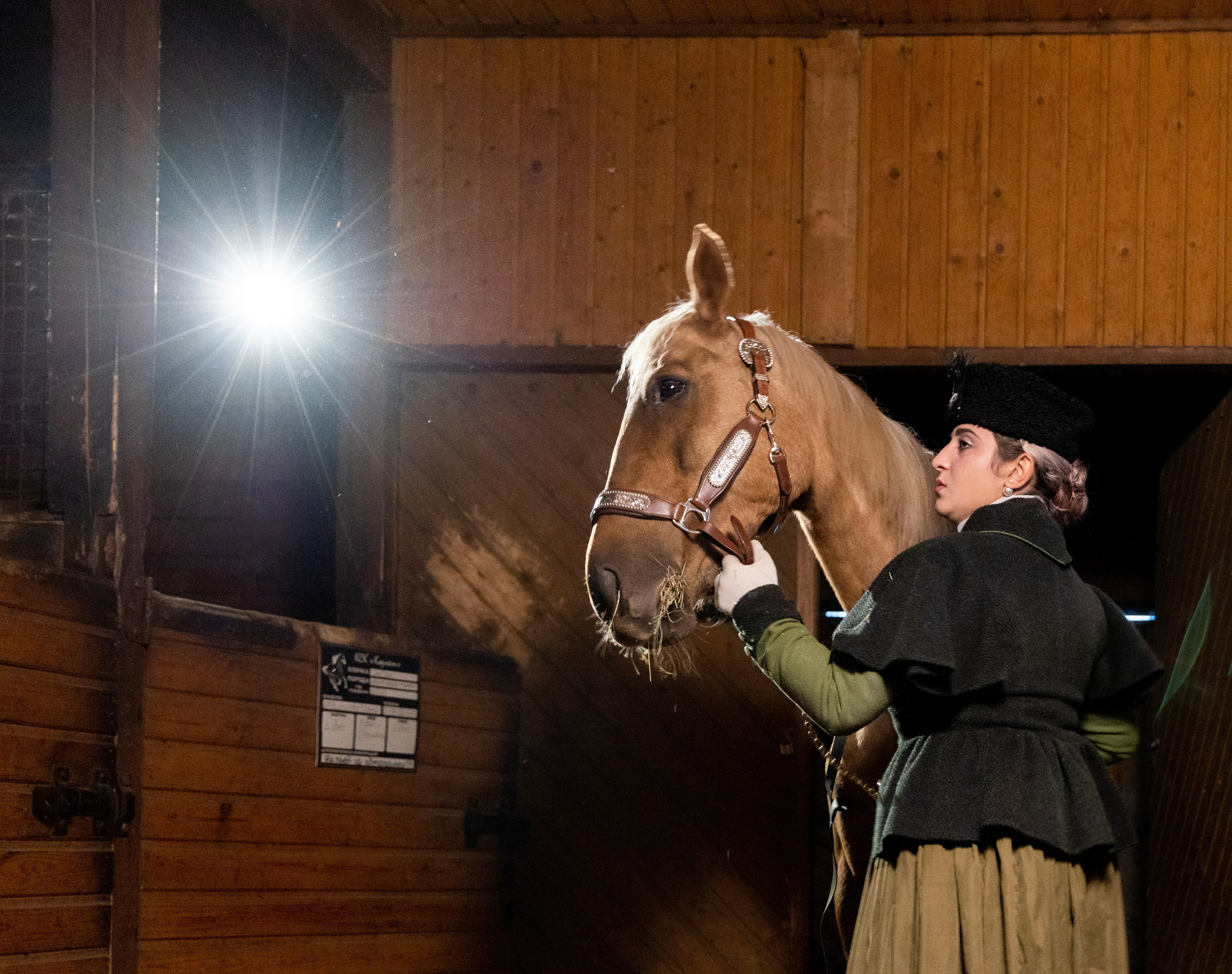 Фотограф Татьяна Марсуверских г. Жуковский, Москва и Мо. Репортажные съёмки, фотосессии с лошадьми,  фотограф анималист, фотосъёмка животных. Фотограф для маркетплейсов, фотоуслуги в Жуковском Татьяна Марсуверских