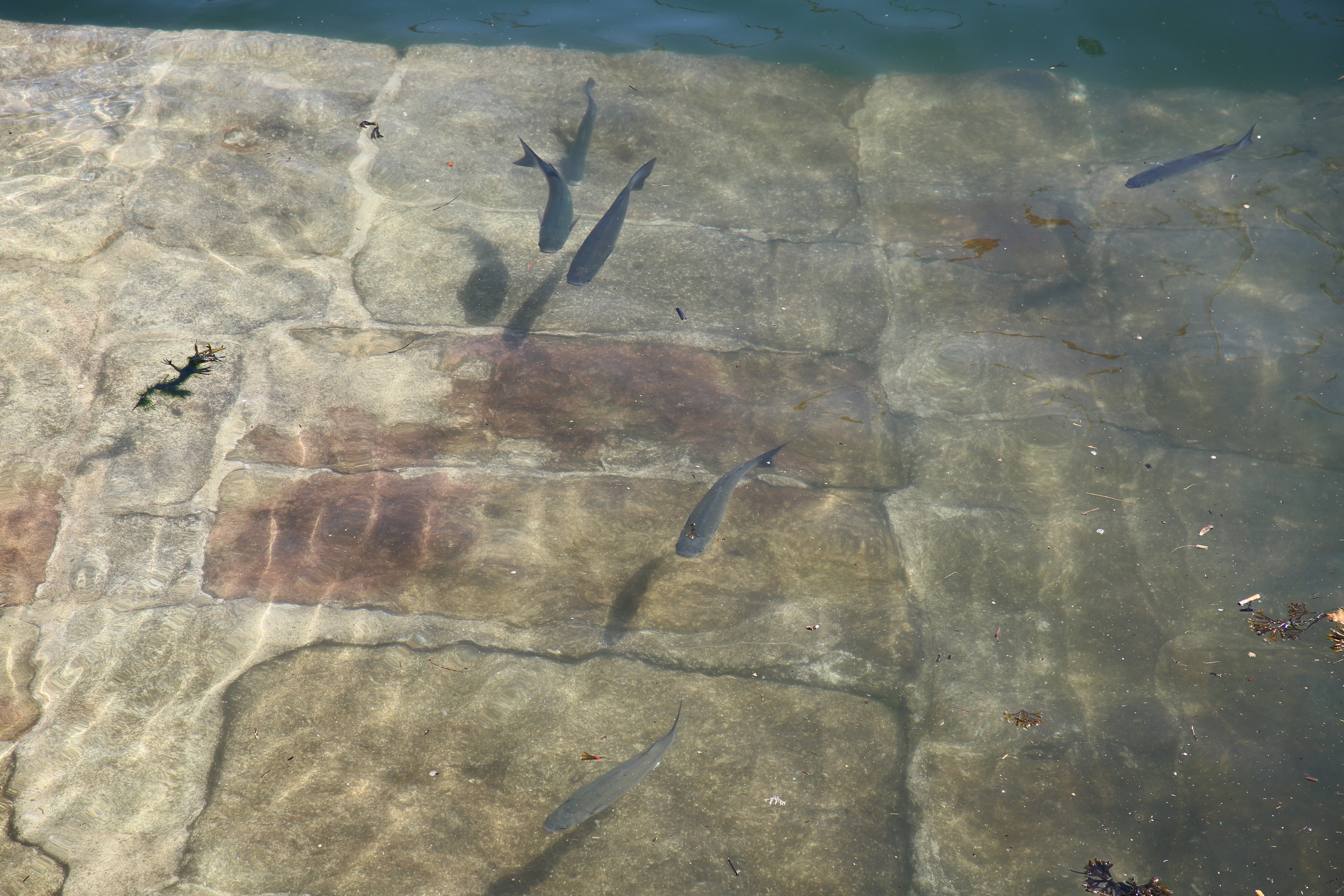 Porto, Portugal. Andrey Filippov Photographer