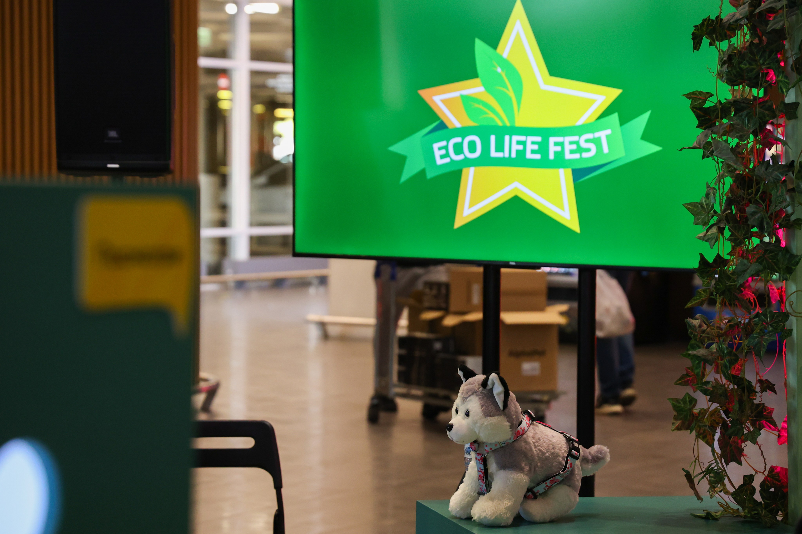 ECO FEST. Фотограф Вадим Бодылев