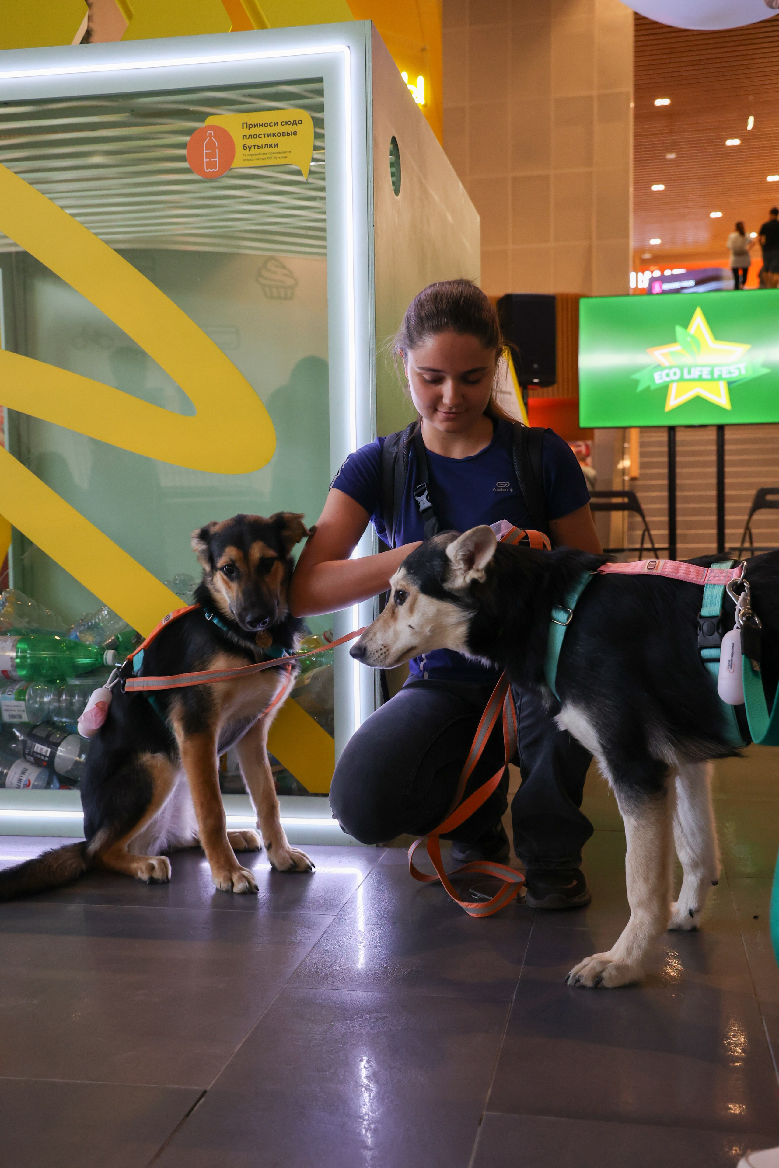 ECO FEST. Фотограф Вадим Бодылев