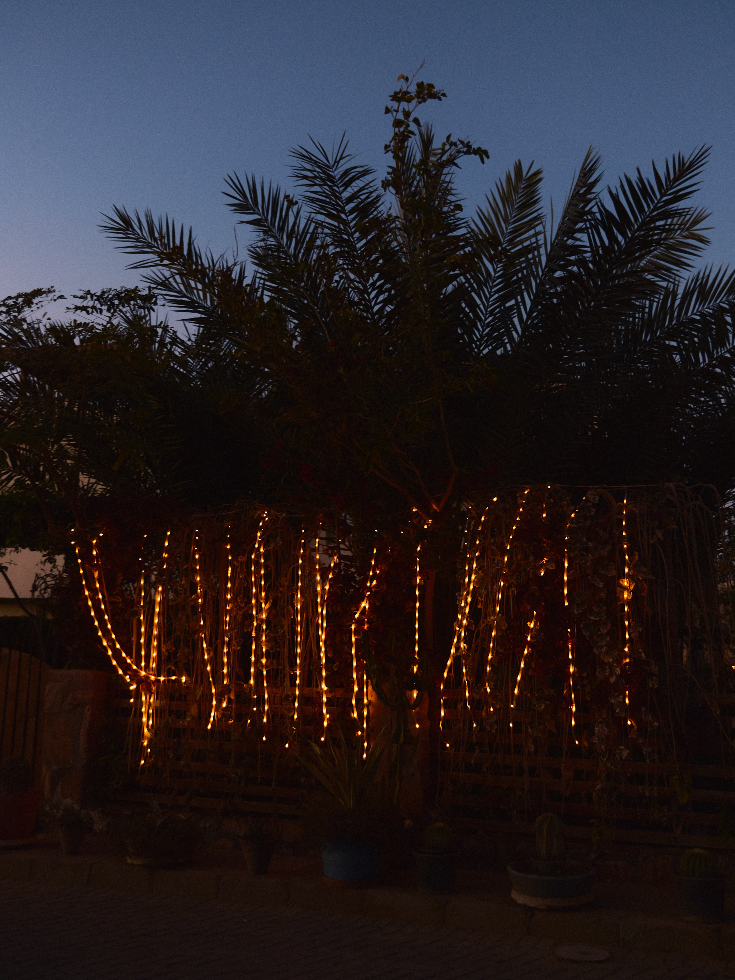 Другое 2. Jorgis Talè — photographer, kind person, teacher of arts and other mag