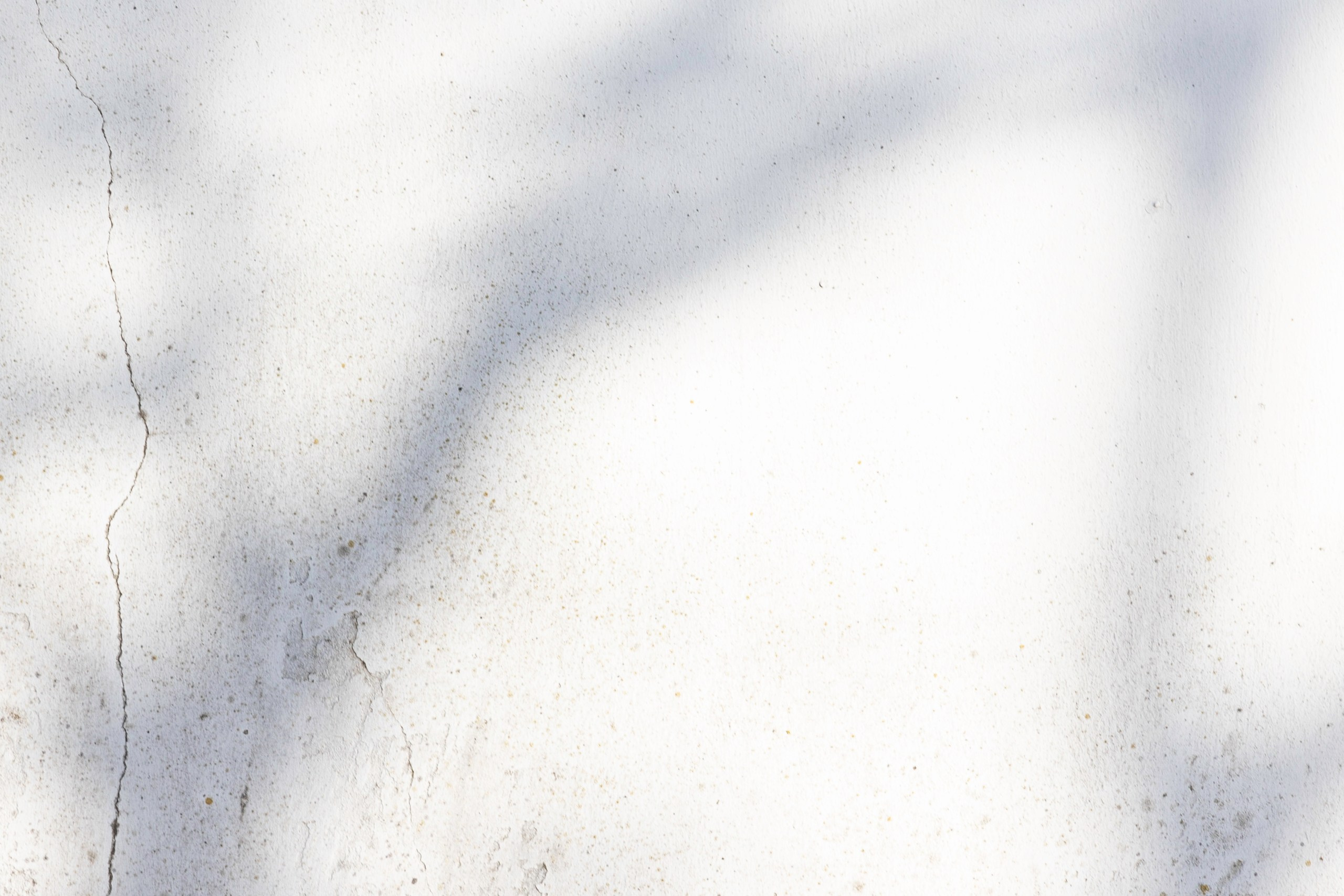 Art prints. Фотограф алина стерхова, алина стерхова фотограф, фотограф москва