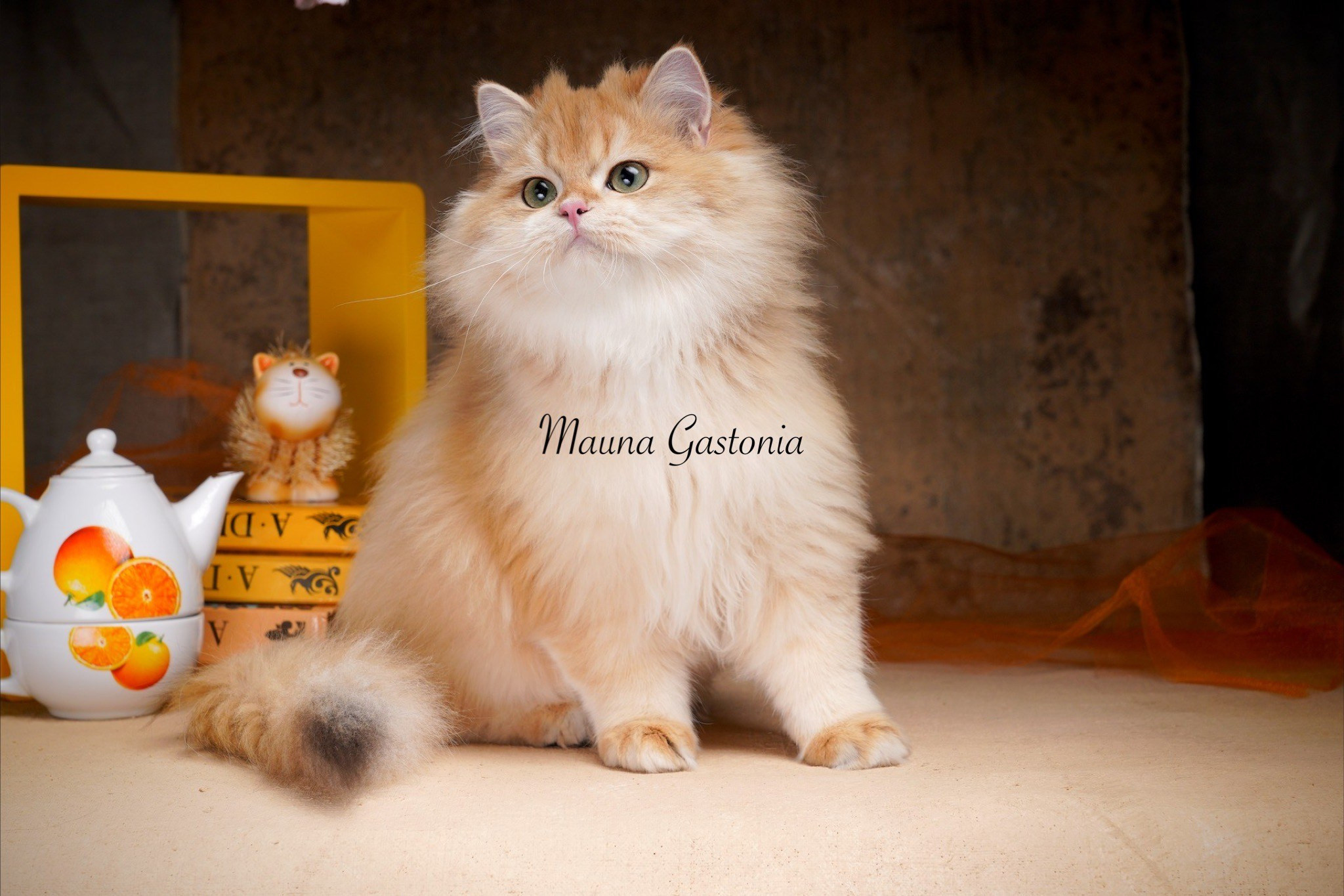 Germes. Mauna Gastonia