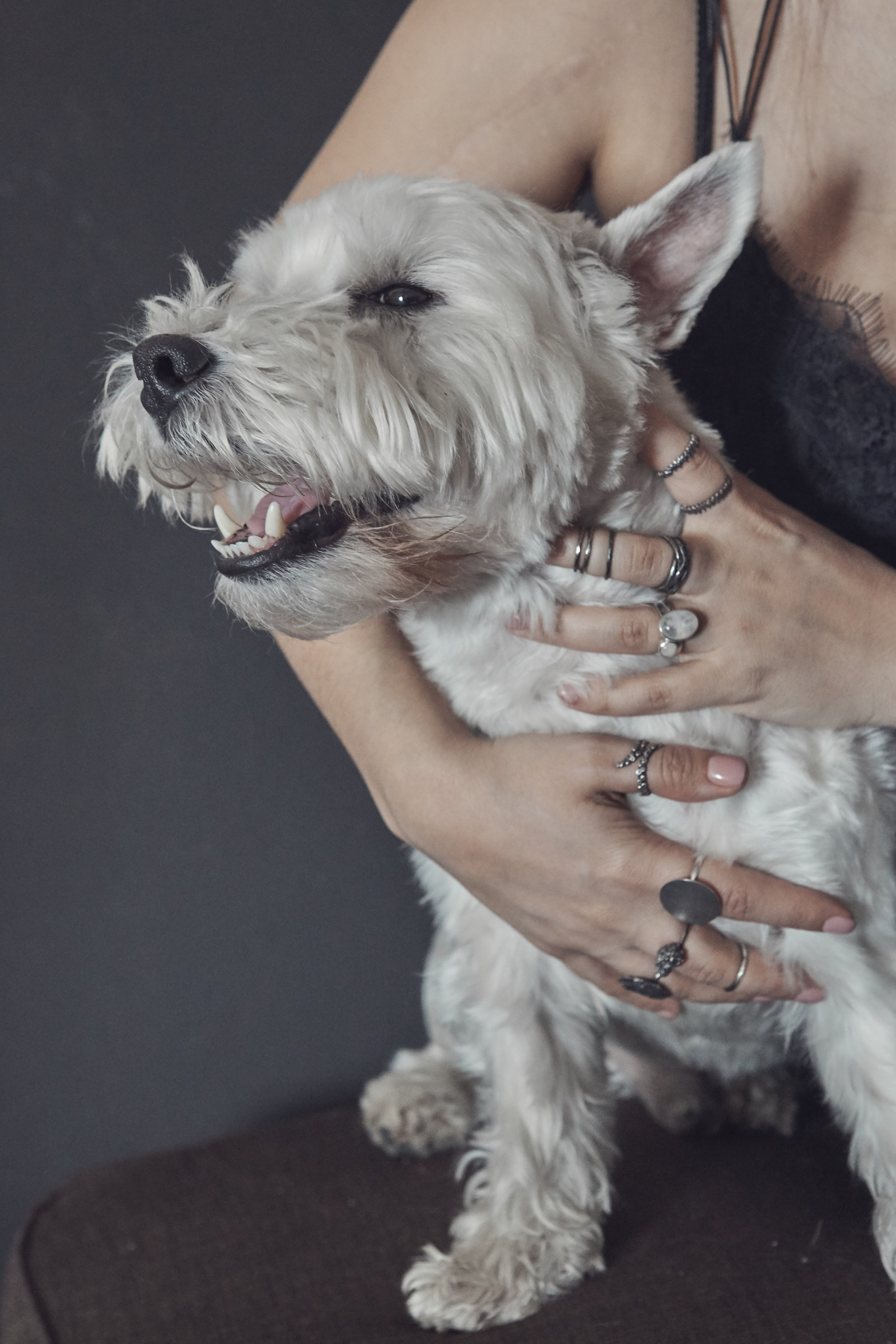 Бренд украшений. Фотограф в Екатеринбурге Татьяна Соколовская