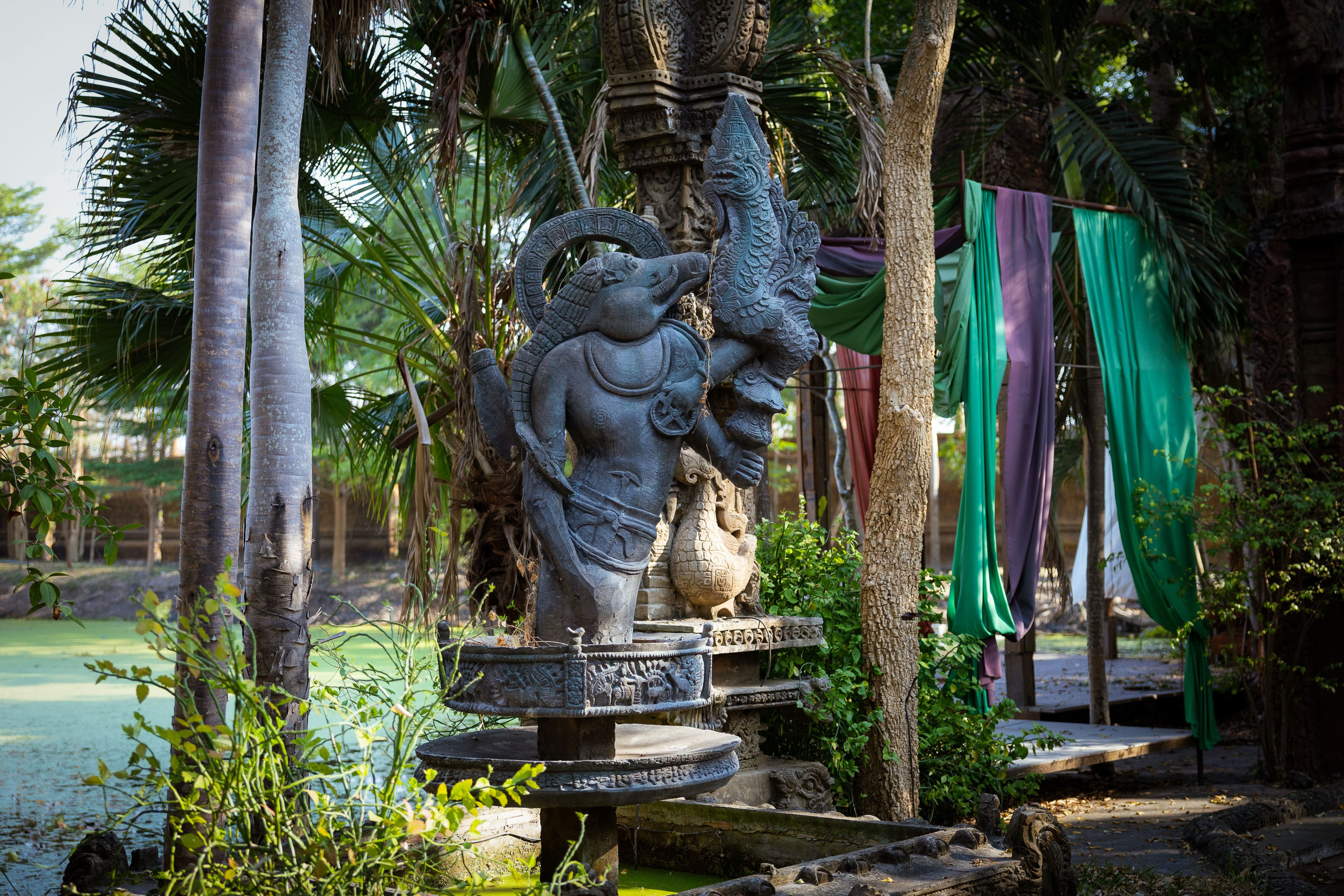 Таиланд (зима 2025). Фотограф Виноградов Константин