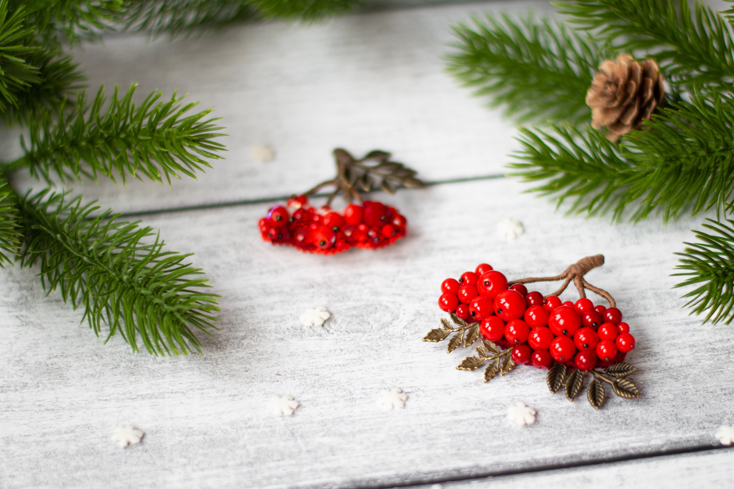 Броши ручной работы «Рябина». Фотограф Санкт-Петербург | Дарья Першина