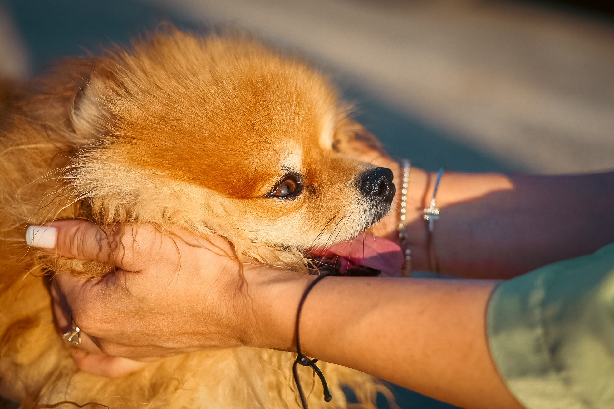 Вероника. Семейный фотограф Израиль