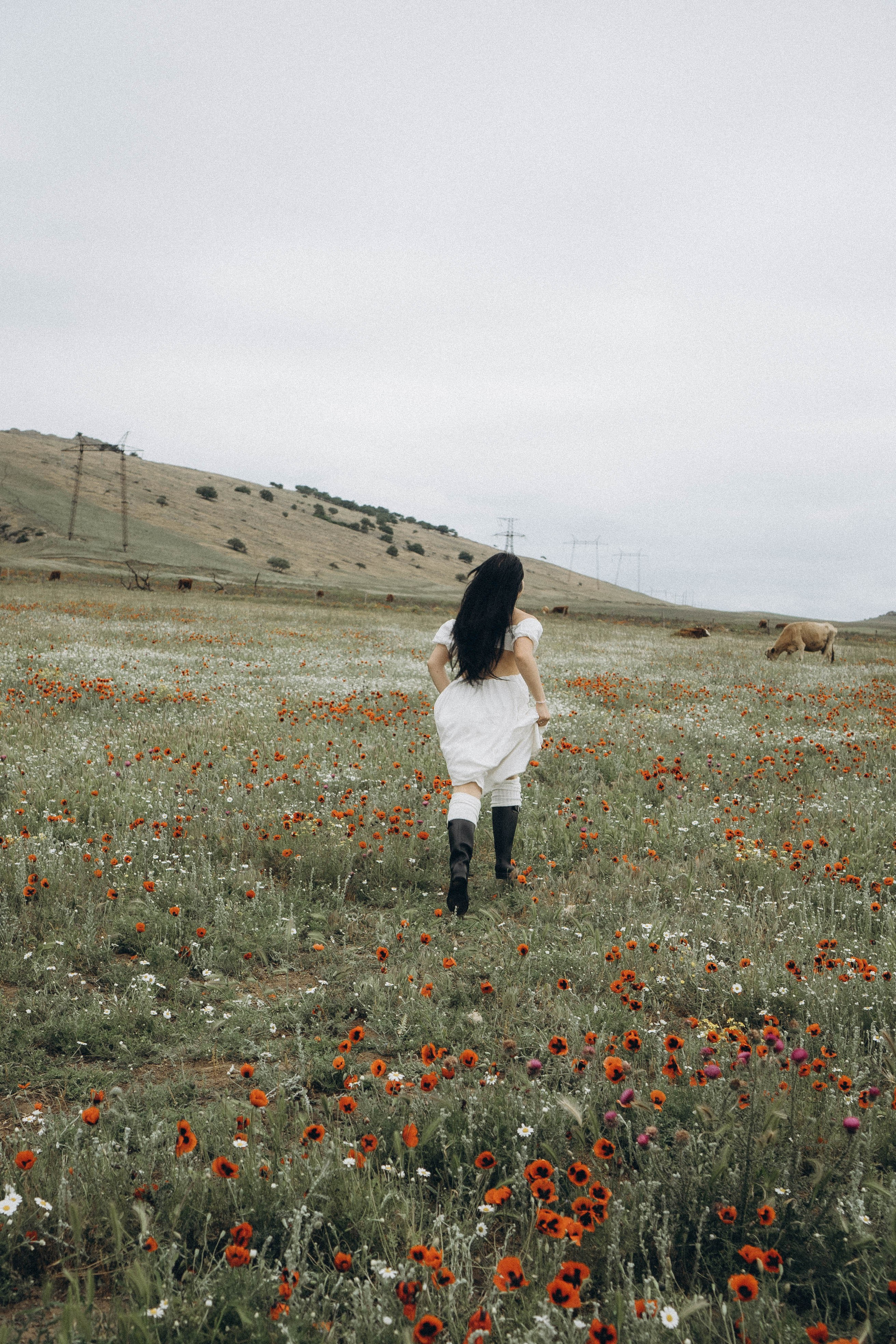 Маковое поле. Профессиональный фотограф, Санкт-Петербург — Виктория Богомолова