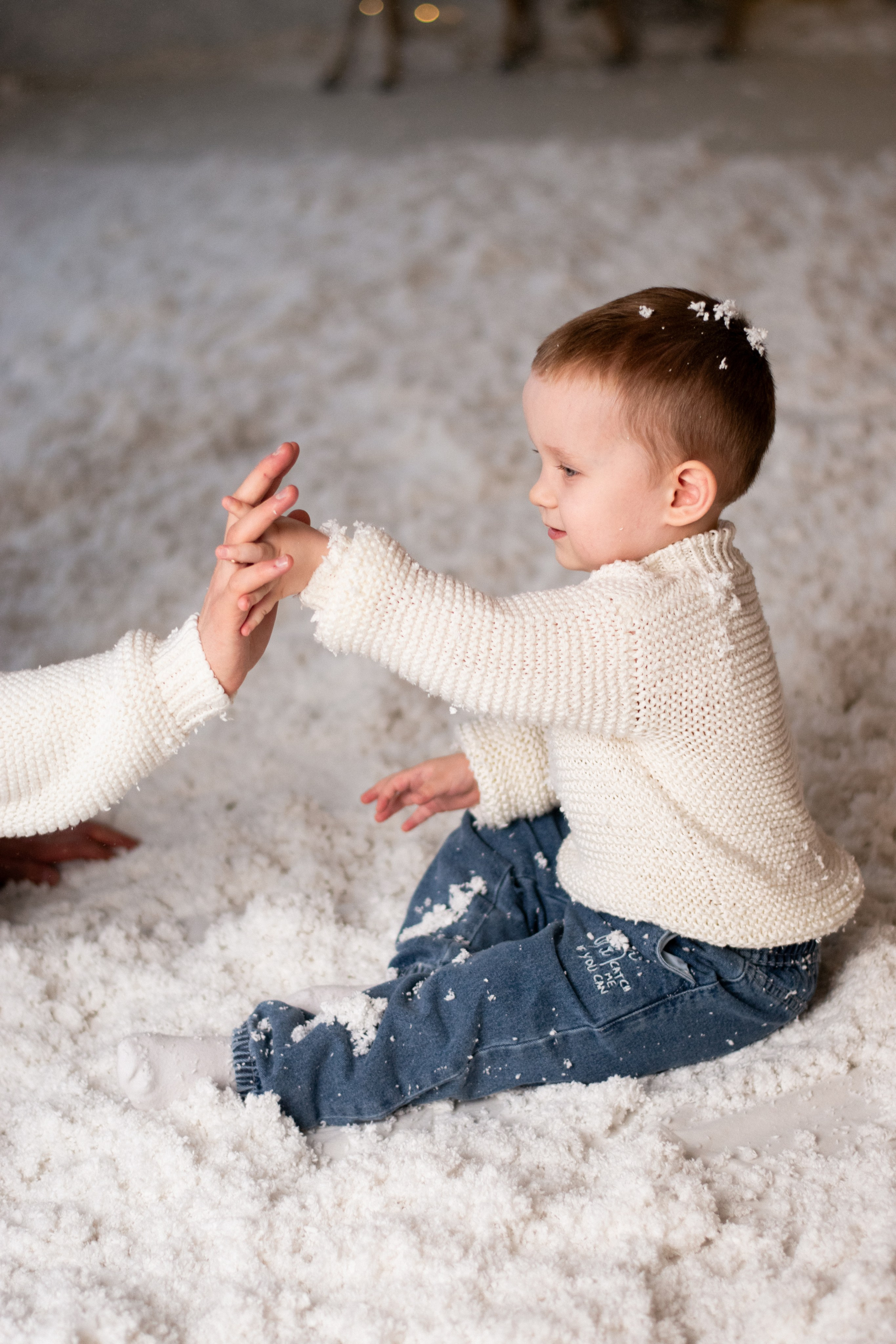 Новогодняя фотосессия. Фотограф в Новосибирске Фальман Полина