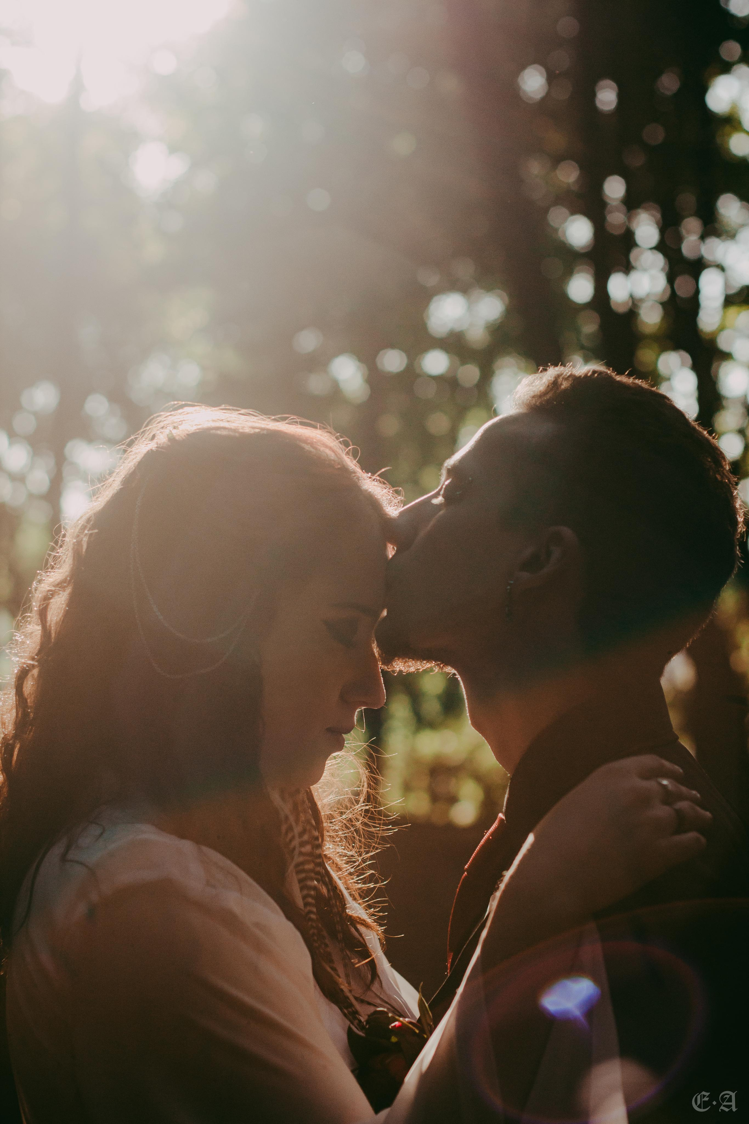 Гранатовые отблески в День Союза. Фотограф Ellairen