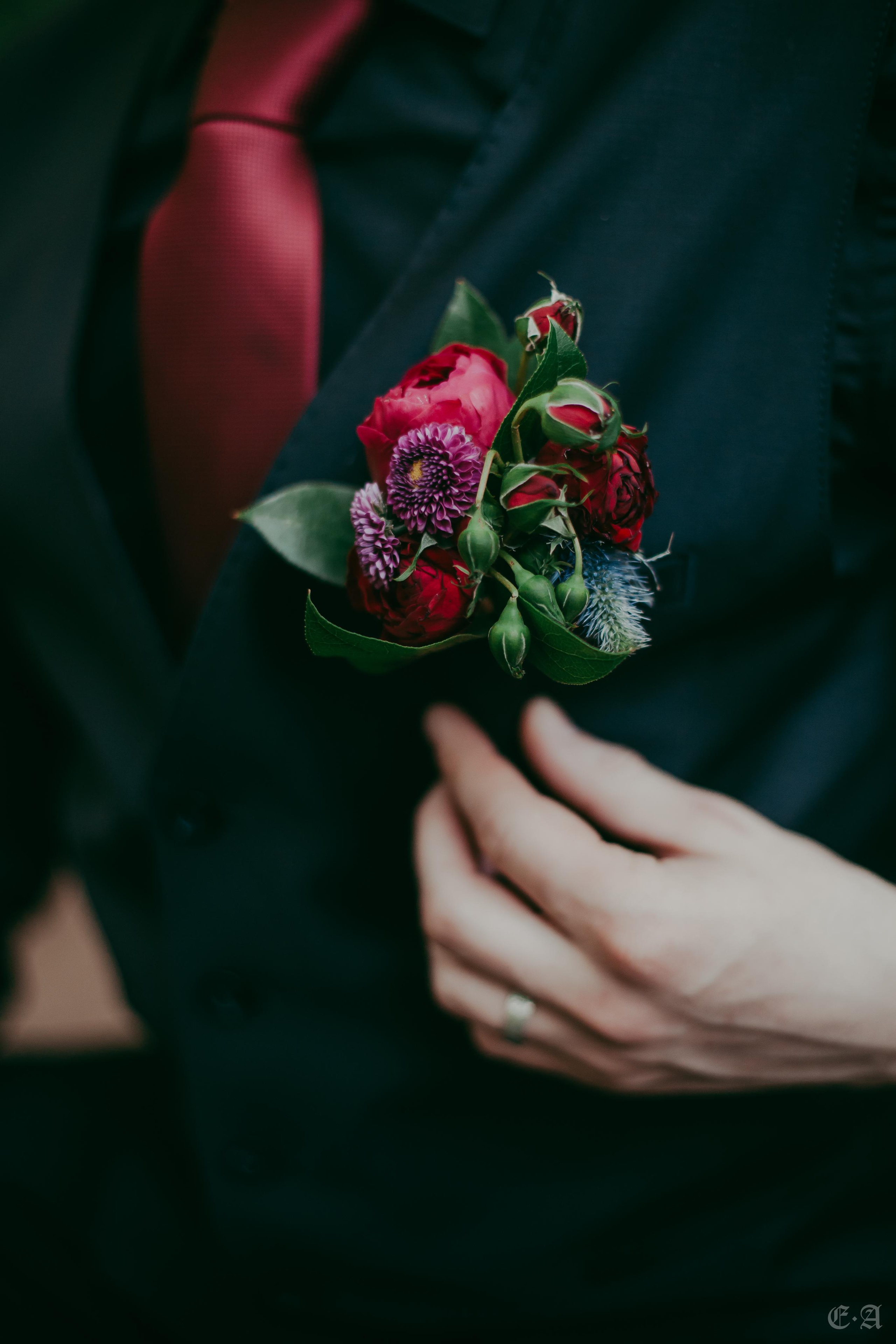 Гранатовые отблески в День Союза. Фотограф Ellairen