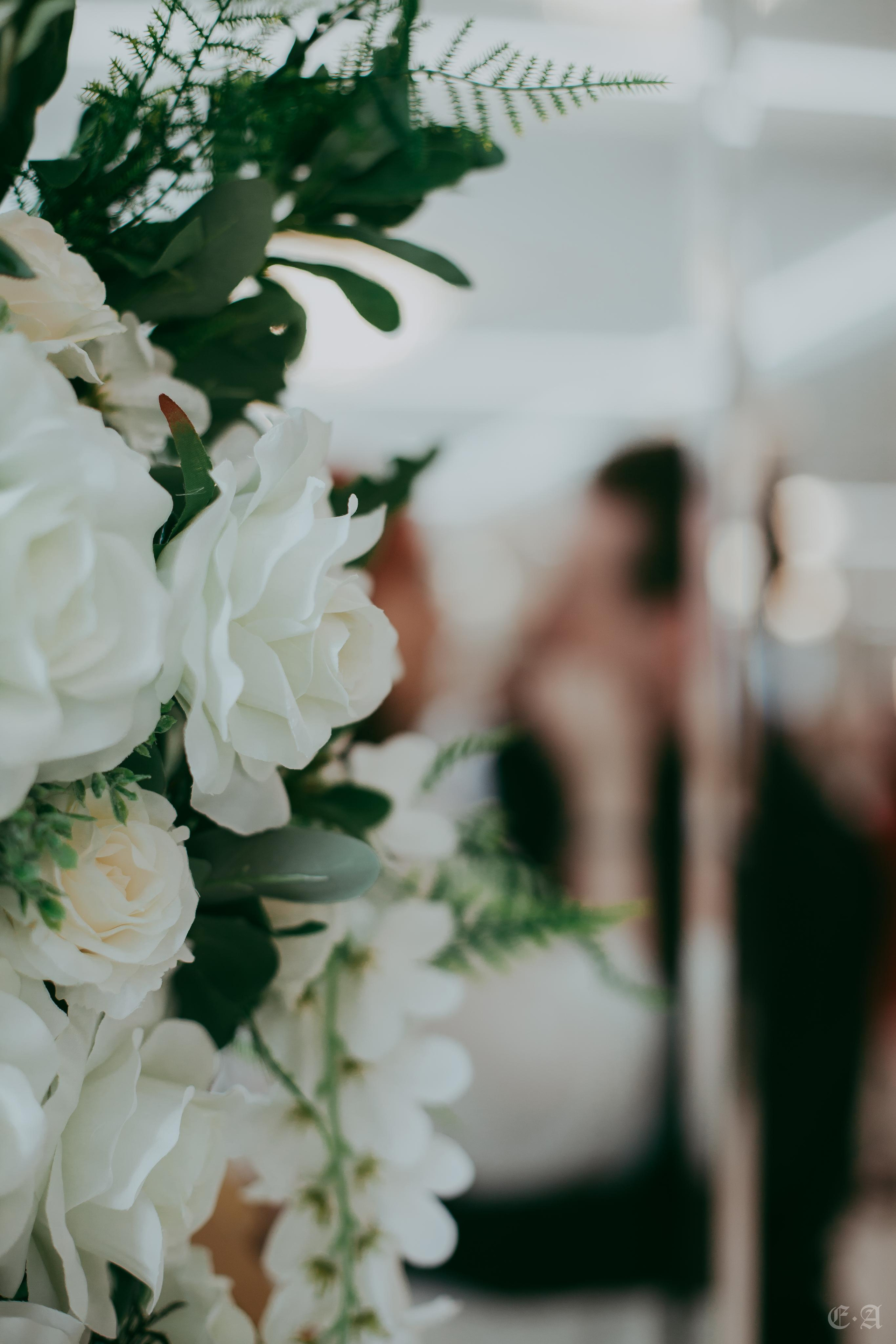 Гранатовые отблески в День Союза. Фотограф Ellairen