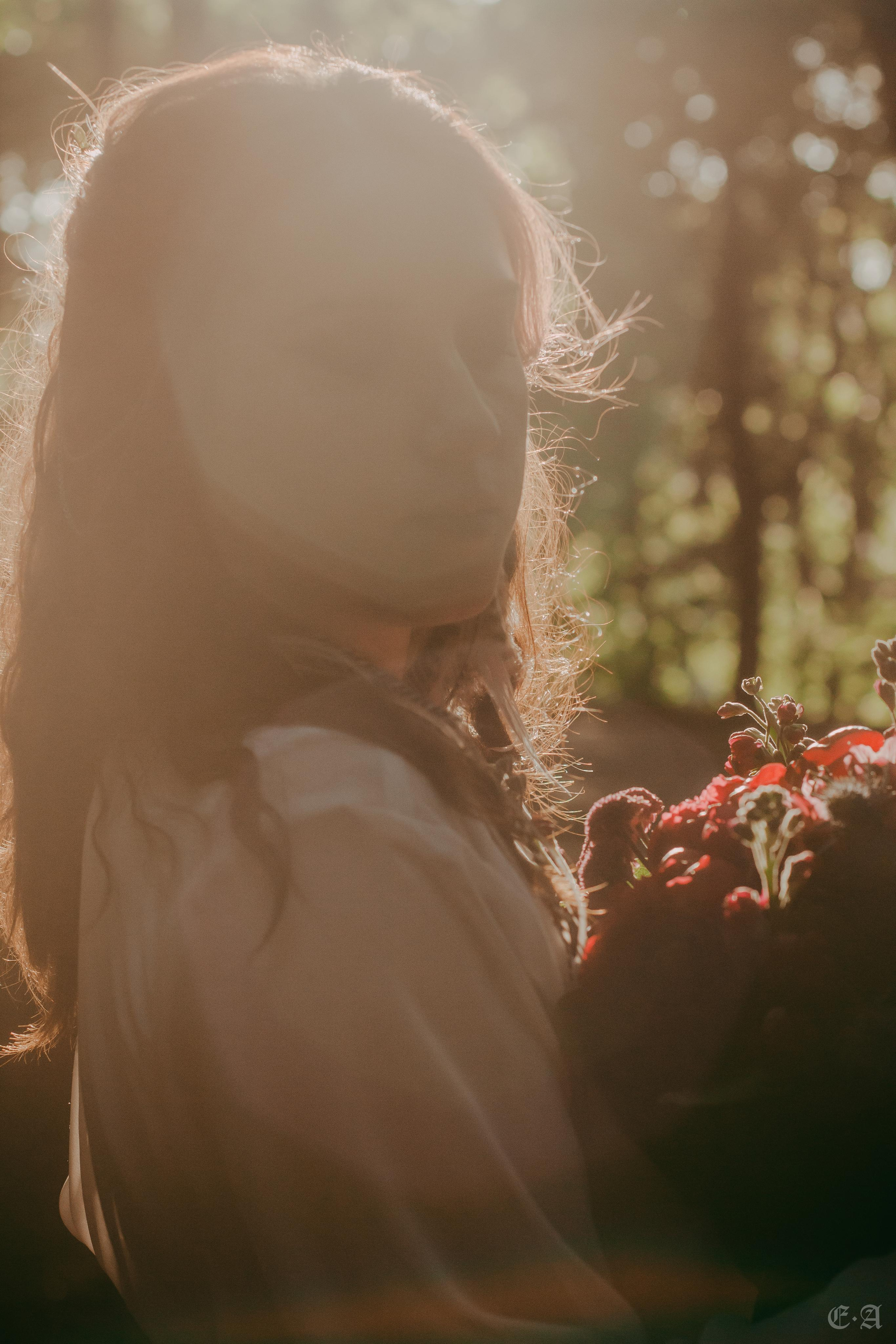 Гранатовые отблески в День Союза. Фотограф Ellairen