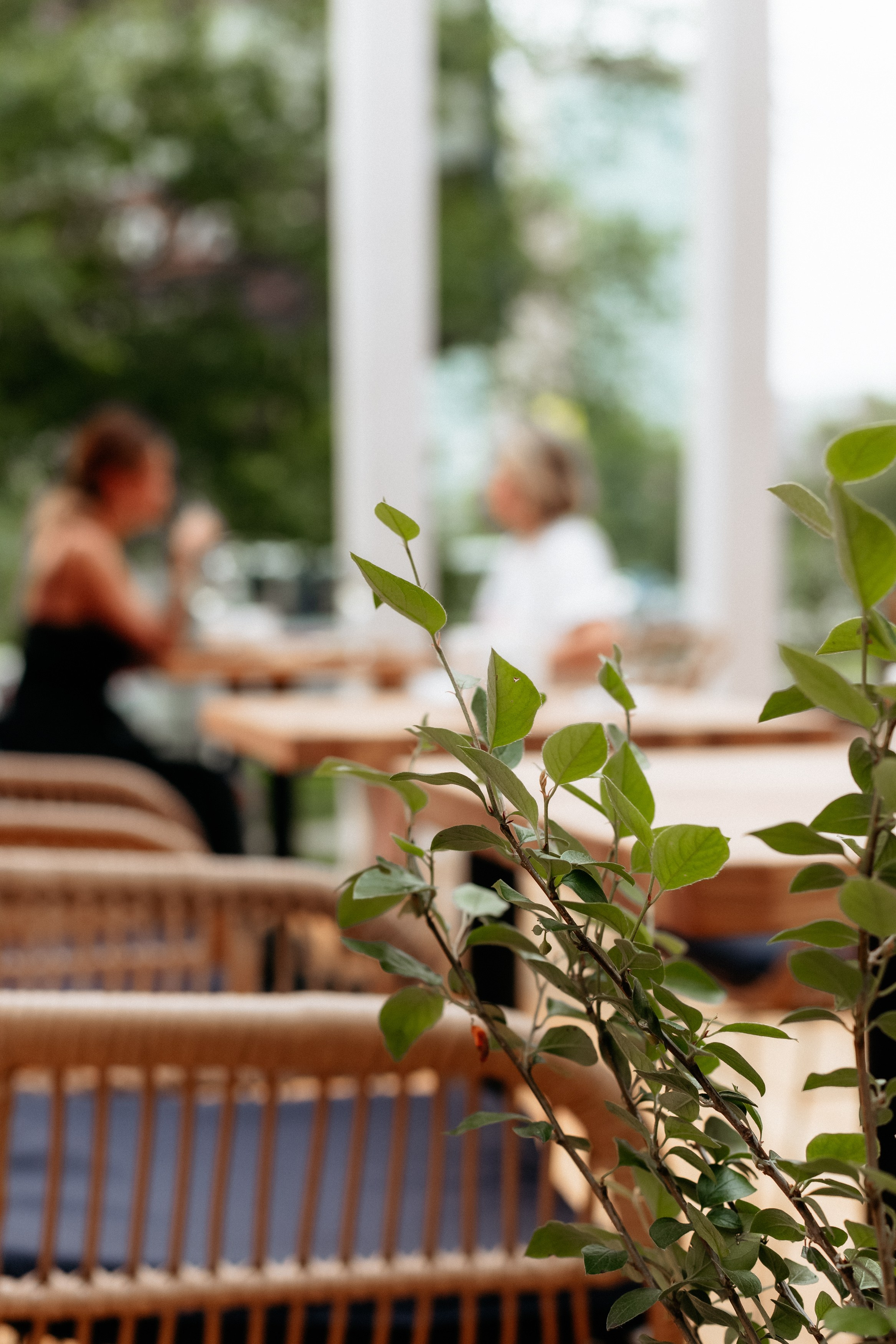 РЕСНОТА — ОТКРЫТИЕ ТЕРРАСЫ. СВОИ. ФОТООТЧЕТЫ-СОБЫТИЯ-МЕСТА