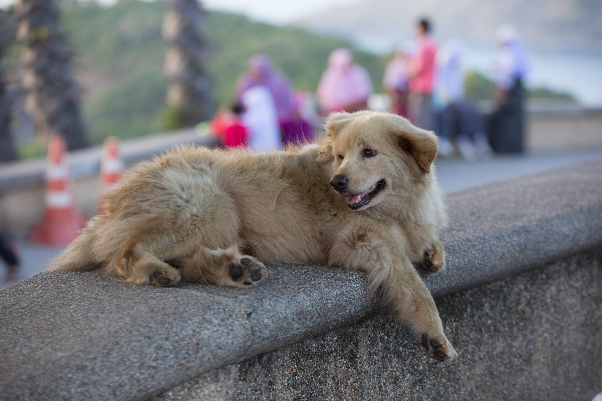 Фото Тайланда. Студия Максима Белослюдцева