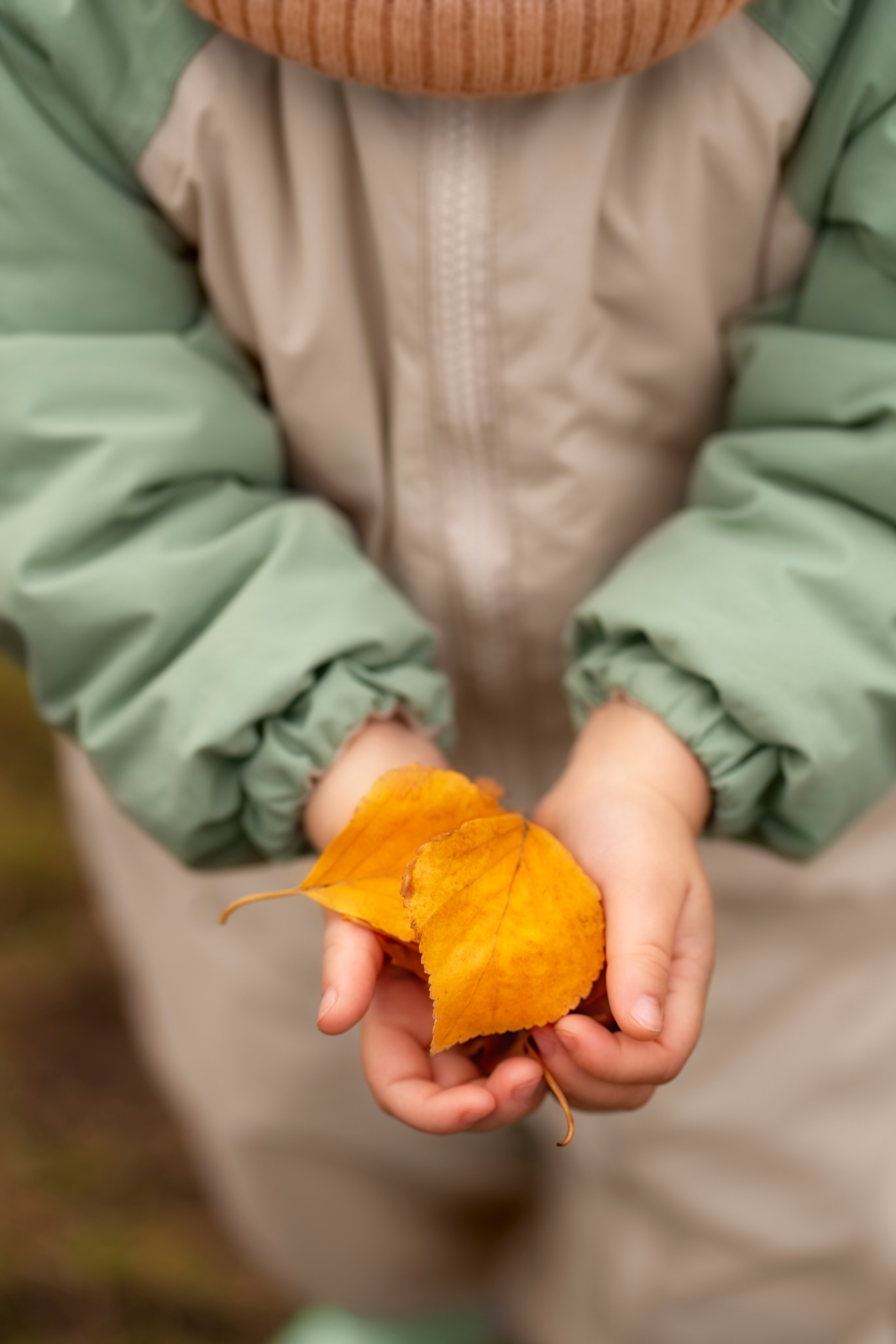 Фотоистория «Золотая осень». Семейный и детский фотограф Фрязино, Щелково Юлия Март