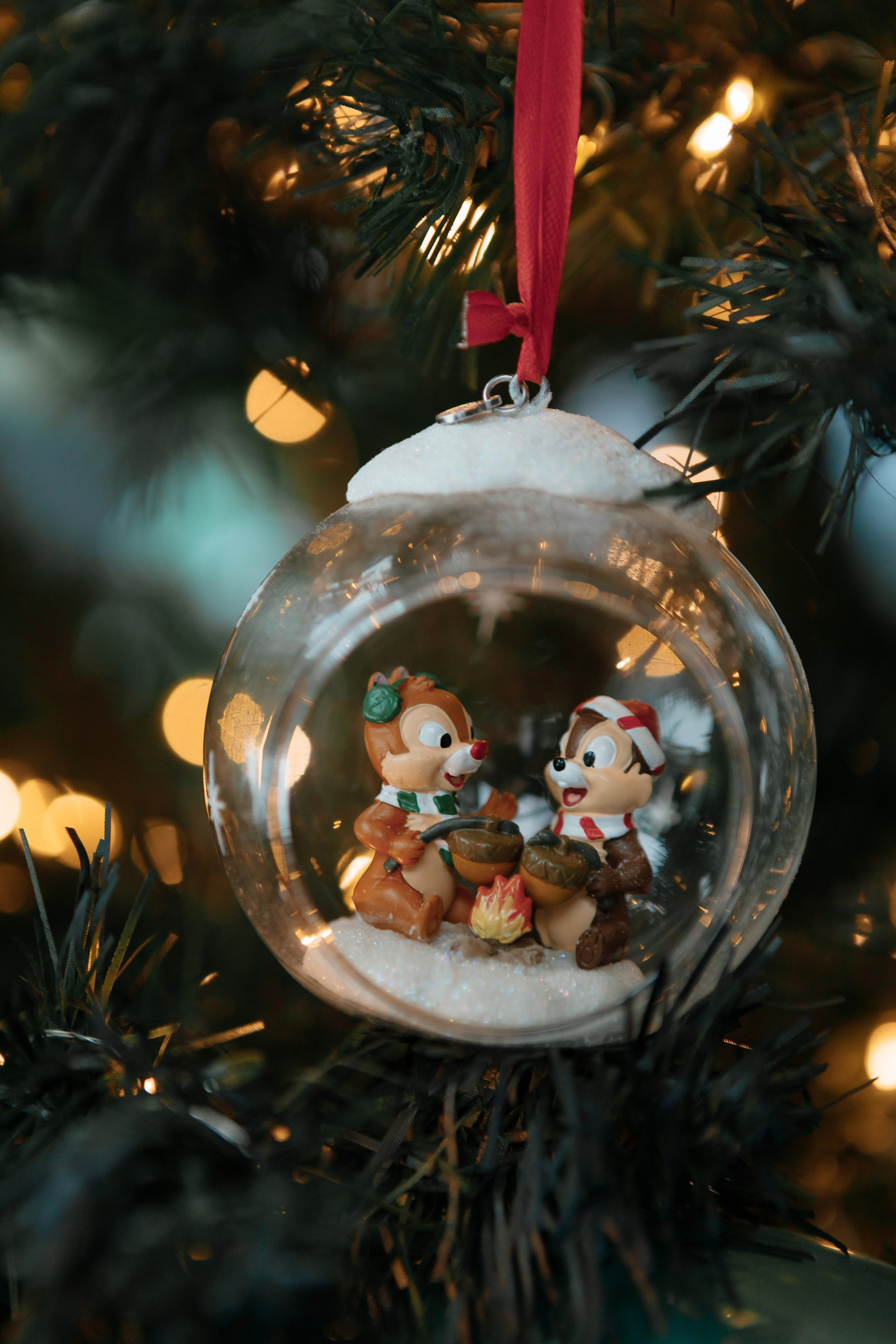 Семейная фотосессия. Свадебный и семейный фотограф Чижова Алина