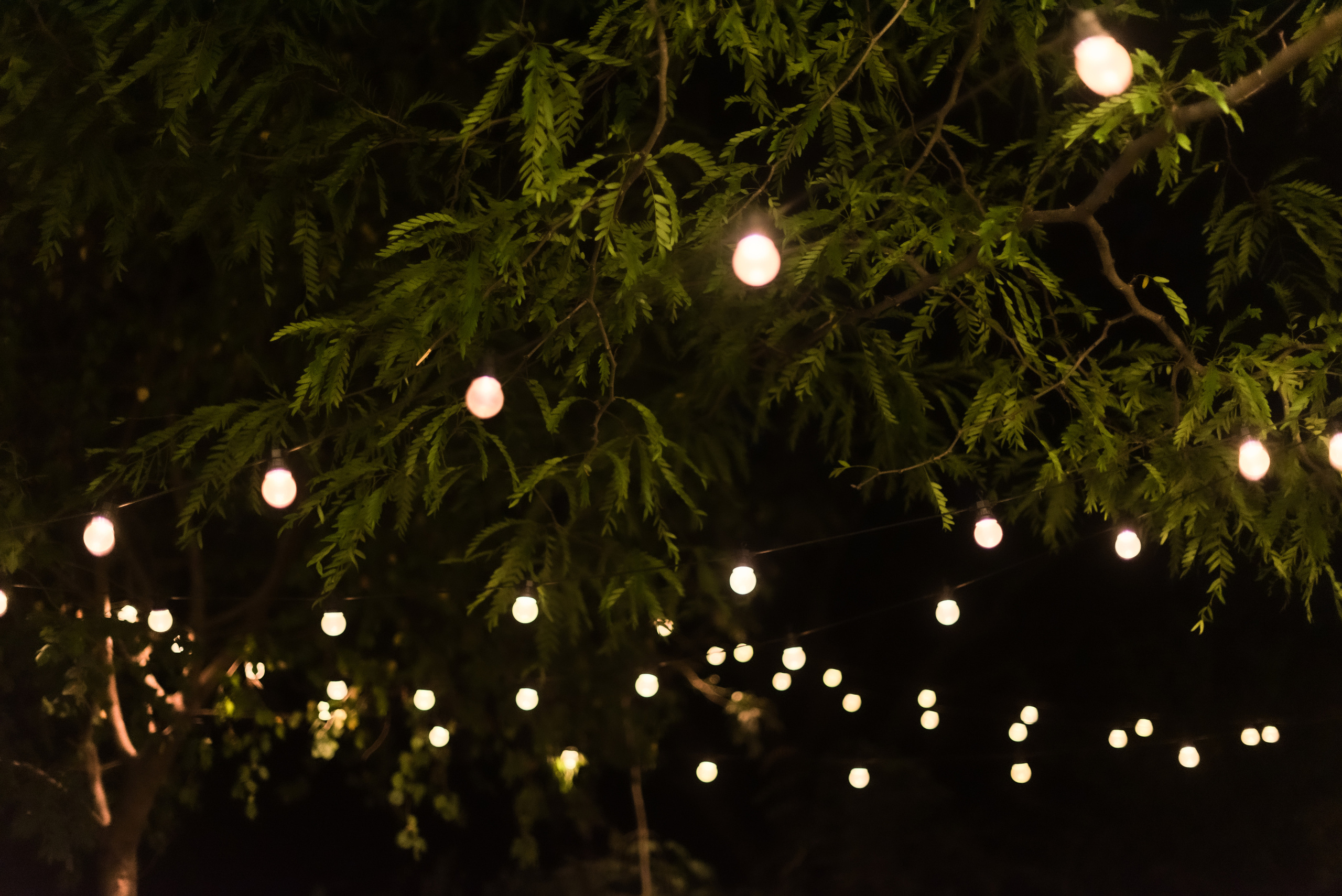 Саша & Лиза. Фотограф Штым Галина — Фотограф в Севастополе, Крыму