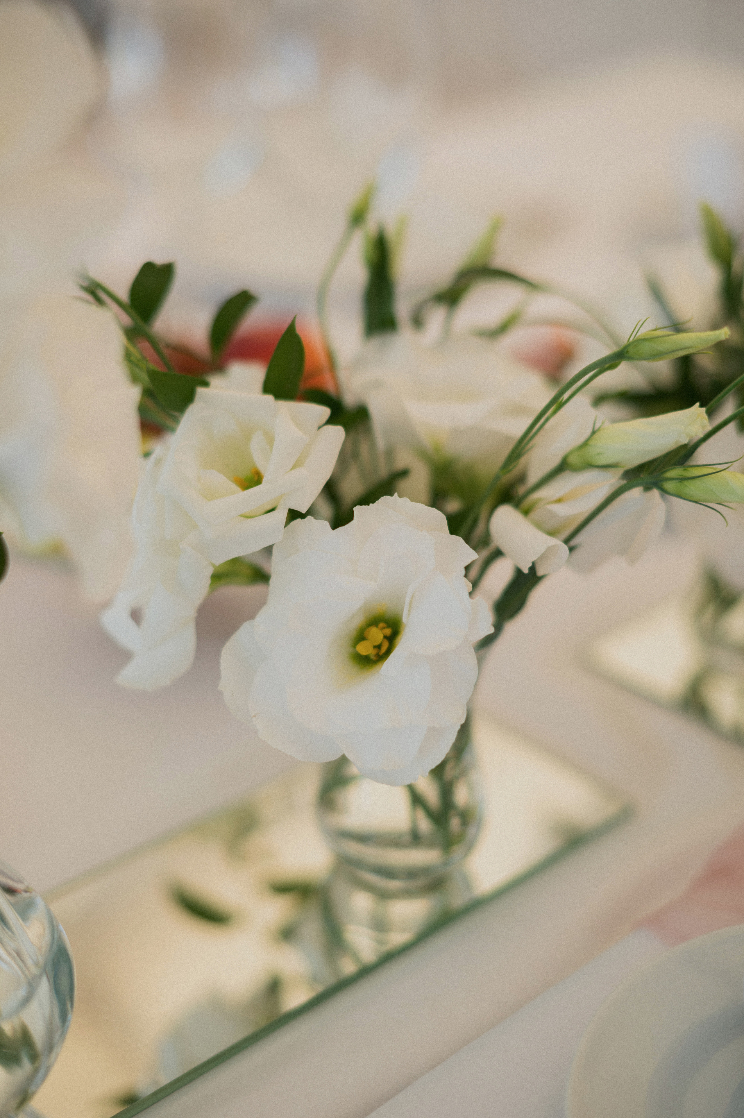 Саша & Лиза. Фотограф Штым Галина — Фотограф в Севастополе, Крыму