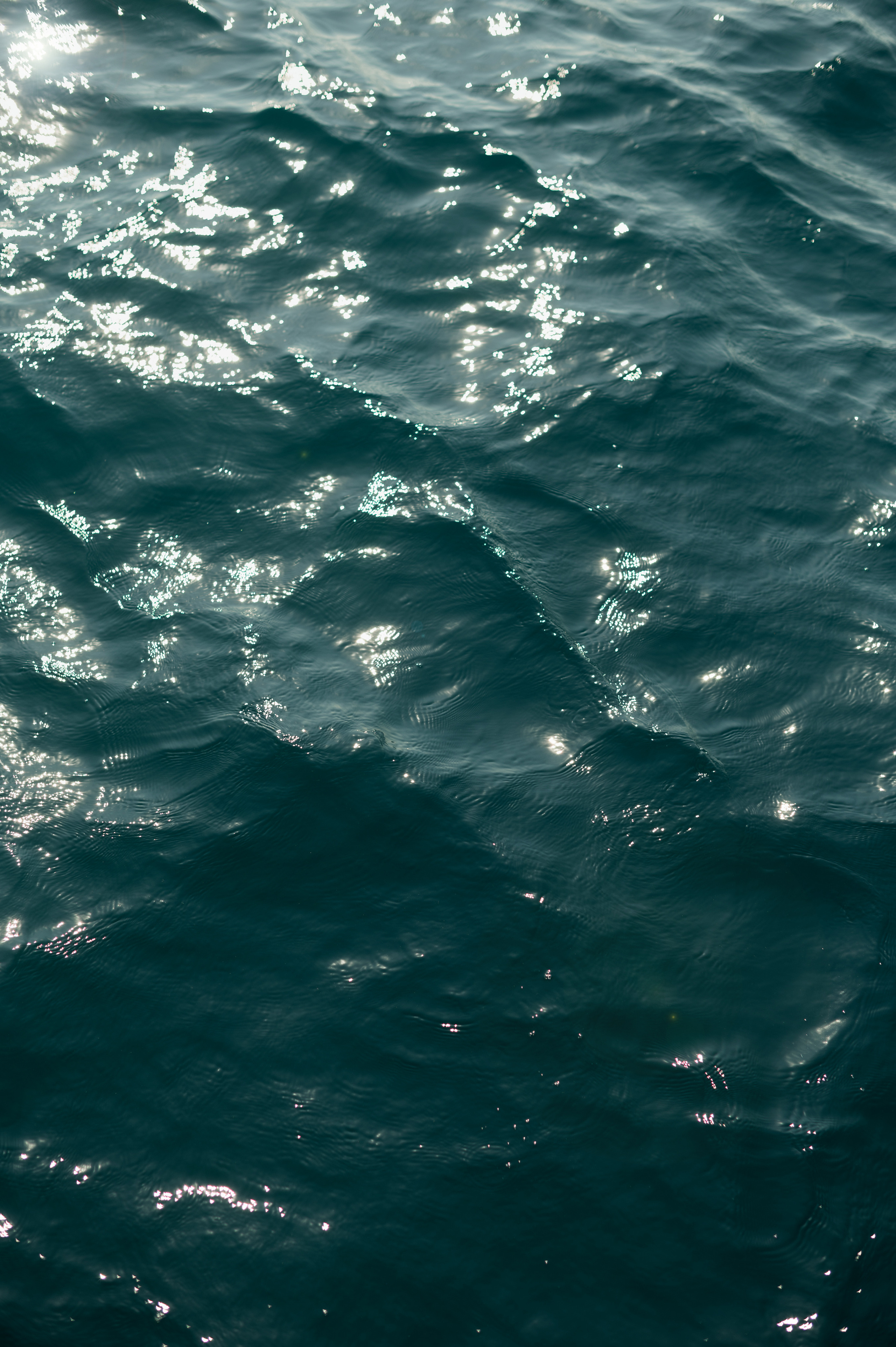 Игорь & Анна. Фотограф Штым Галина — Фотограф в Севастополе, Крыму