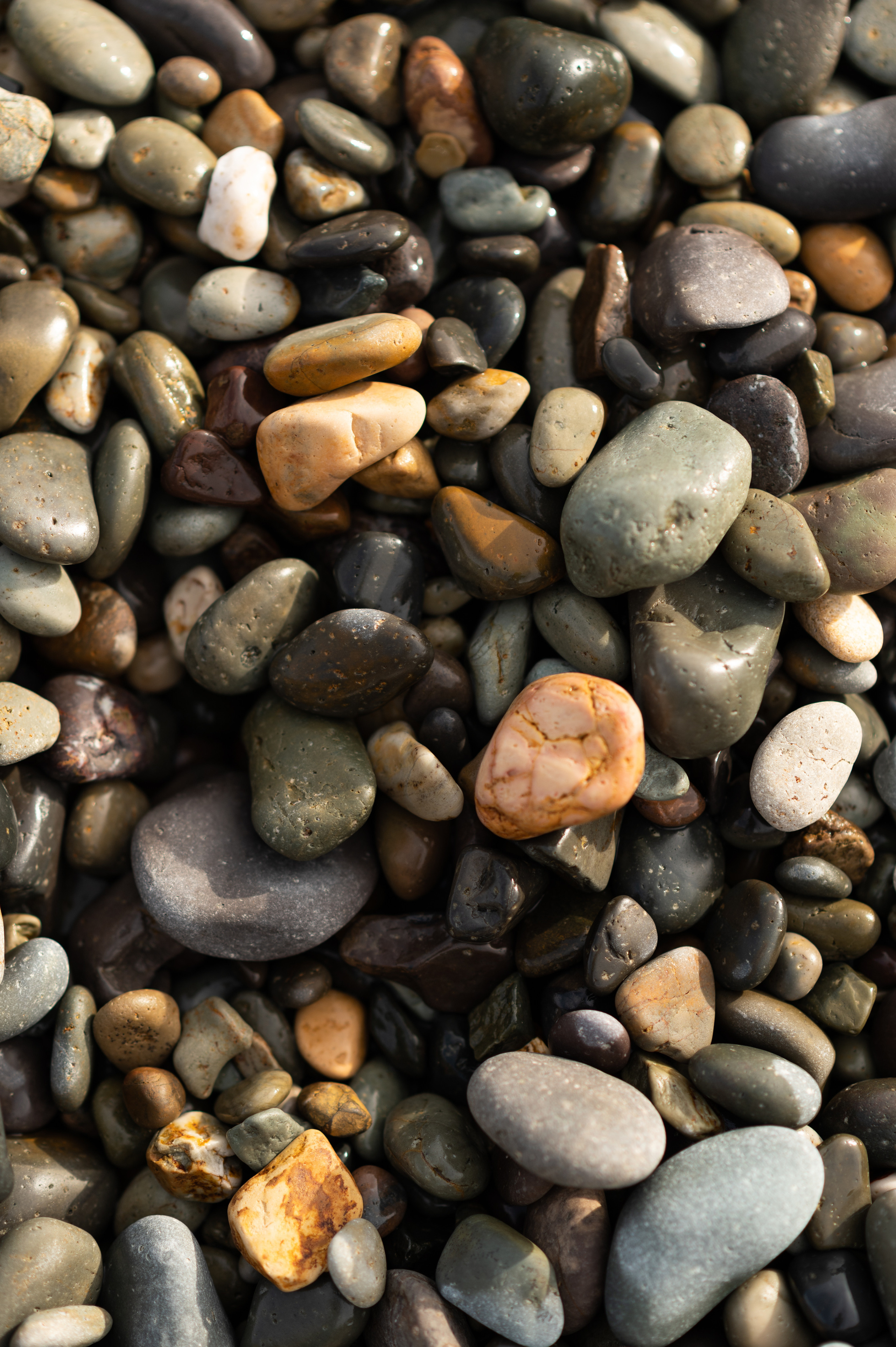 Love Story. Фотограф Штым Галина — Фотограф в Севастополе, Крыму