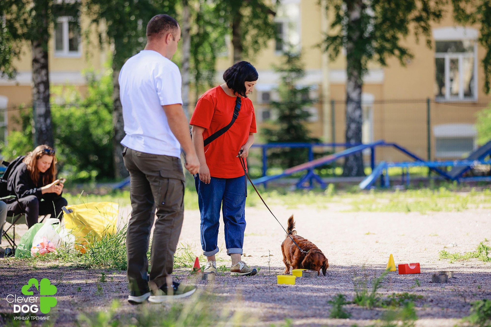 Семинар по поиску запаха с Иваном Ломовым, организатор CleverDog, СПб. Фотограф-анималист Mary Mart — Москва, Питер