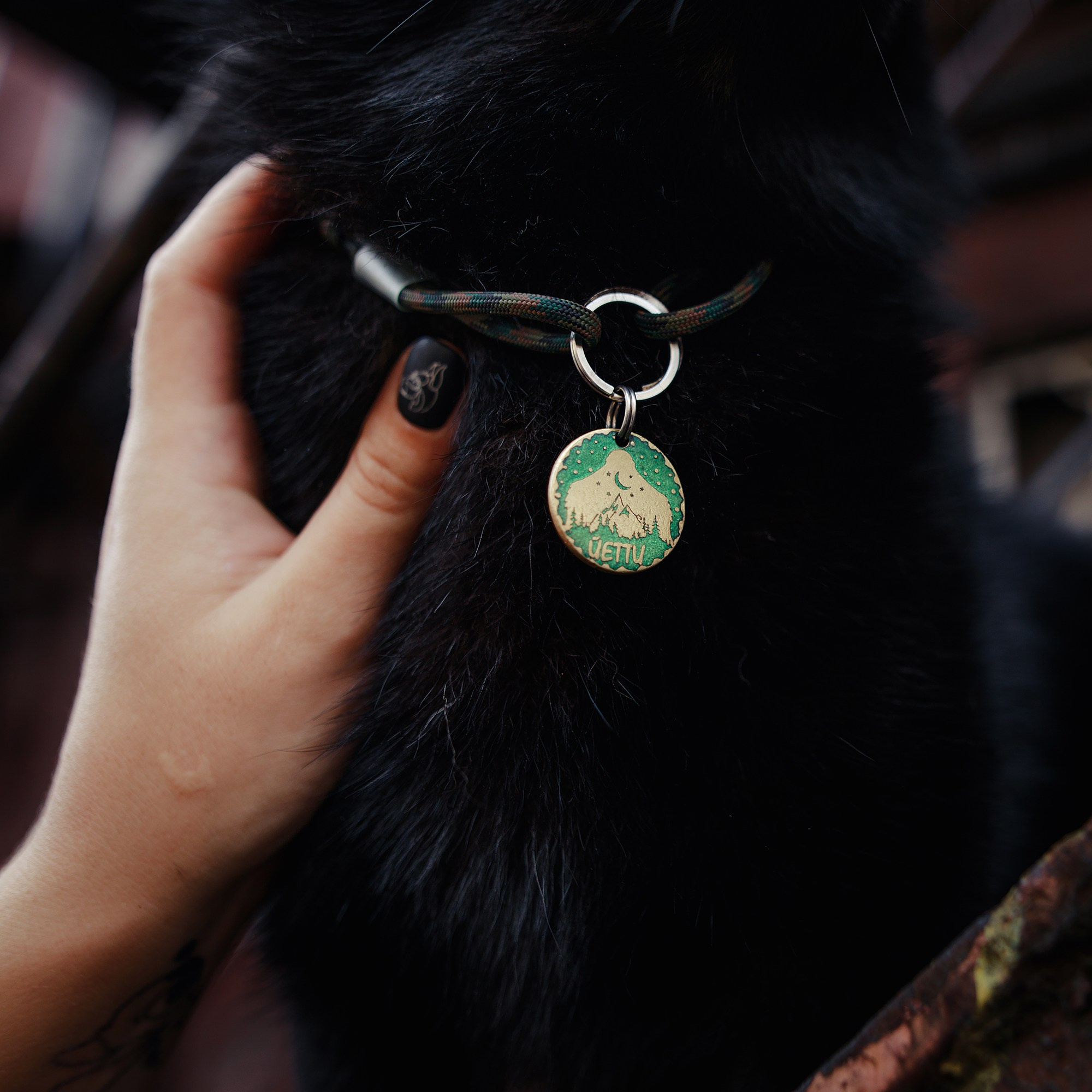 Саша, Маша и шипперке Йети. Фотограф-анималист Mary Mart — Москва, Питер